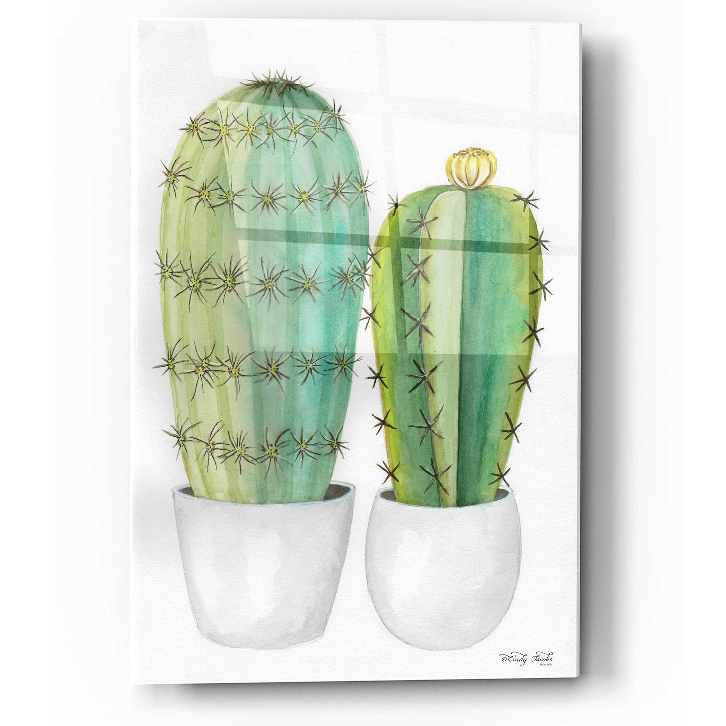 Epic Art 'Cactus Love' by Cindy Jacobs, Acrylic Glass Wall Art,12x16