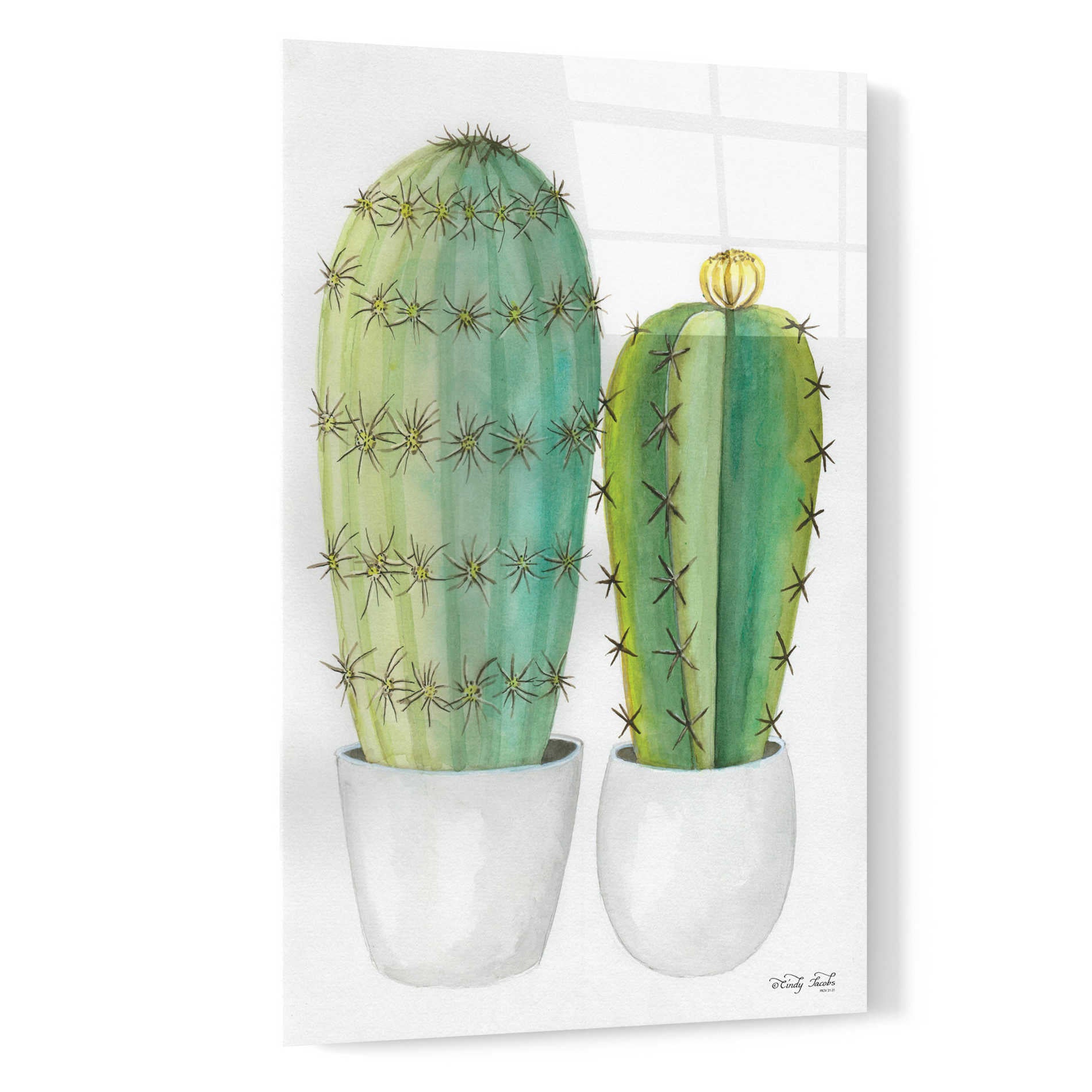 Epic Art 'Cactus Love' by Cindy Jacobs, Acrylic Glass Wall Art,16x24