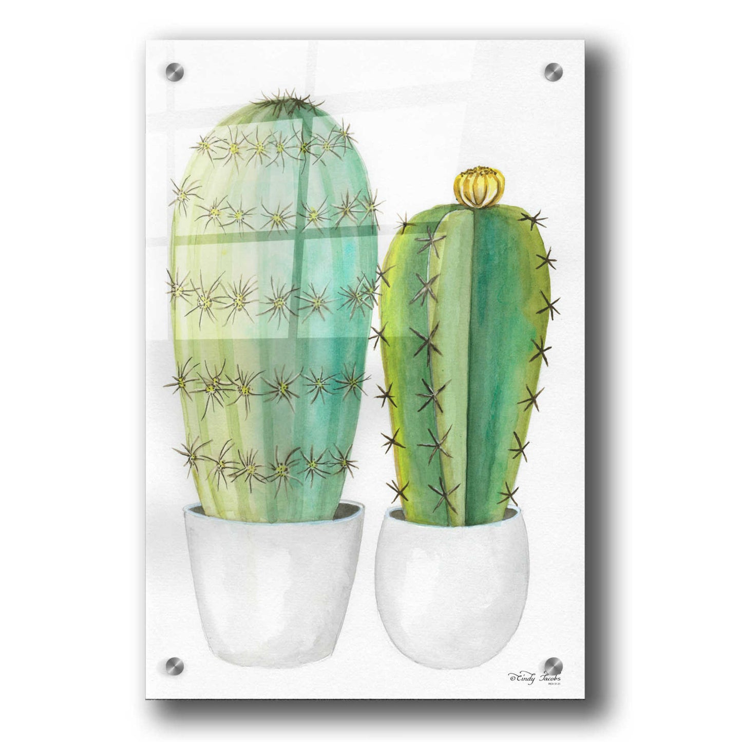 Epic Art 'Cactus Love' by Cindy Jacobs, Acrylic Glass Wall Art,24x36