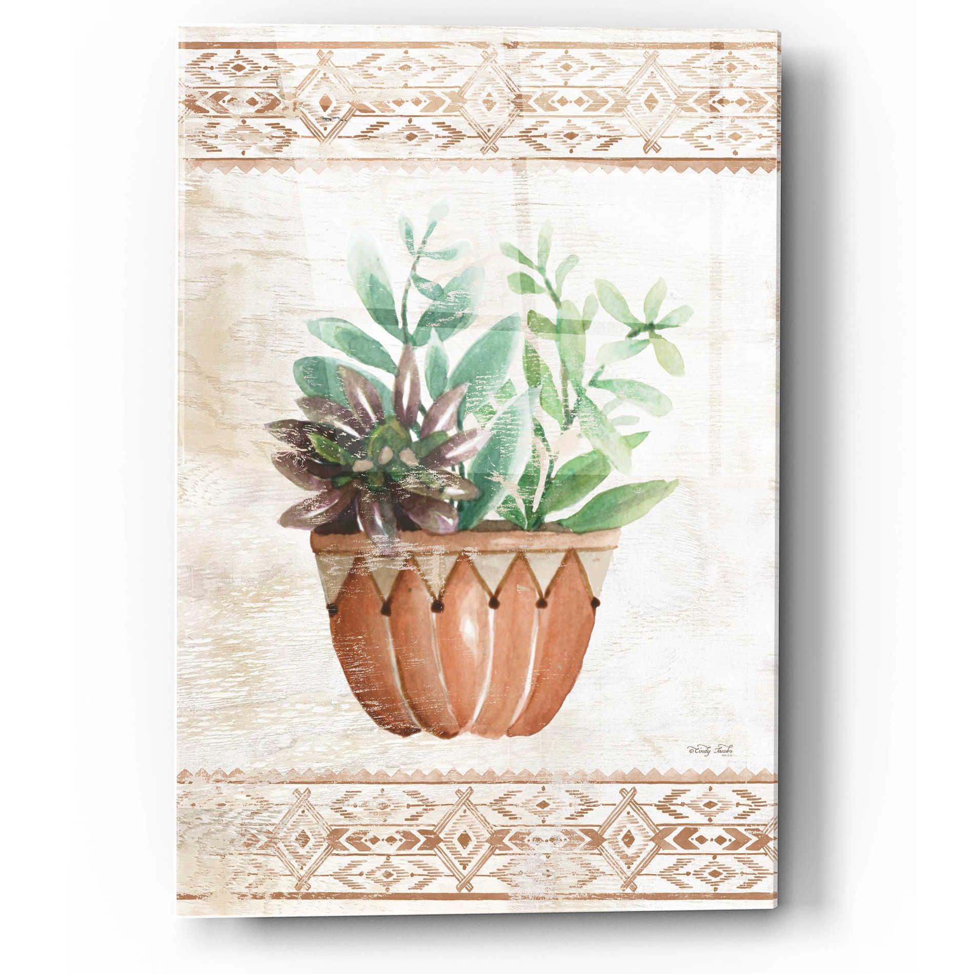 Epic Art 'Southwest Terracotta Succulents I' by Cindy Jacobs, Acrylic Glass Wall Art,12x16
