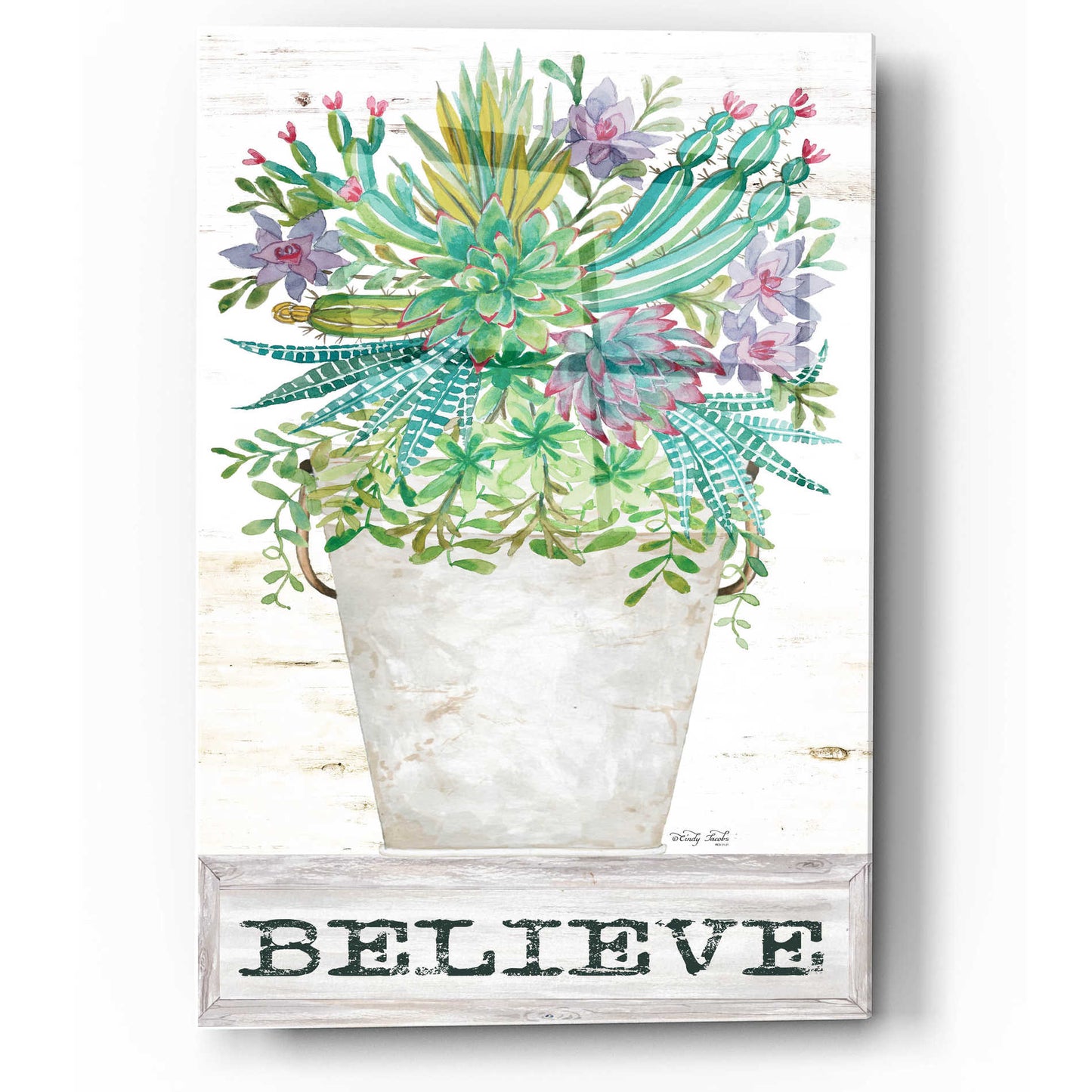 Epic Art 'Believe Succulents' by Cindy Jacobs, Acrylic Glass Wall Art,12x16