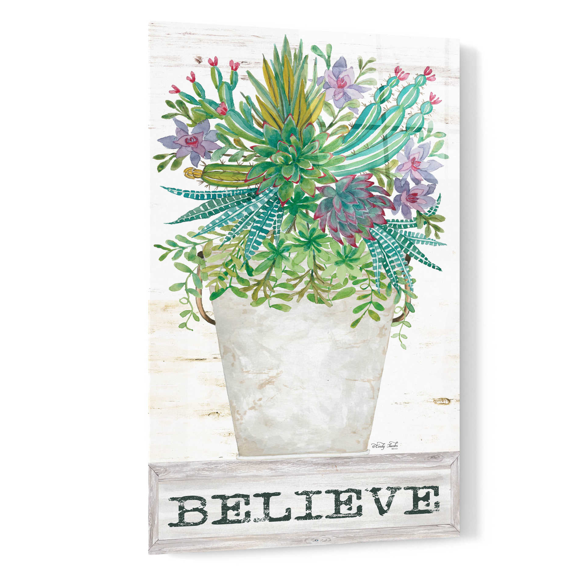 Epic Art 'Believe Succulents' by Cindy Jacobs, Acrylic Glass Wall Art,16x24