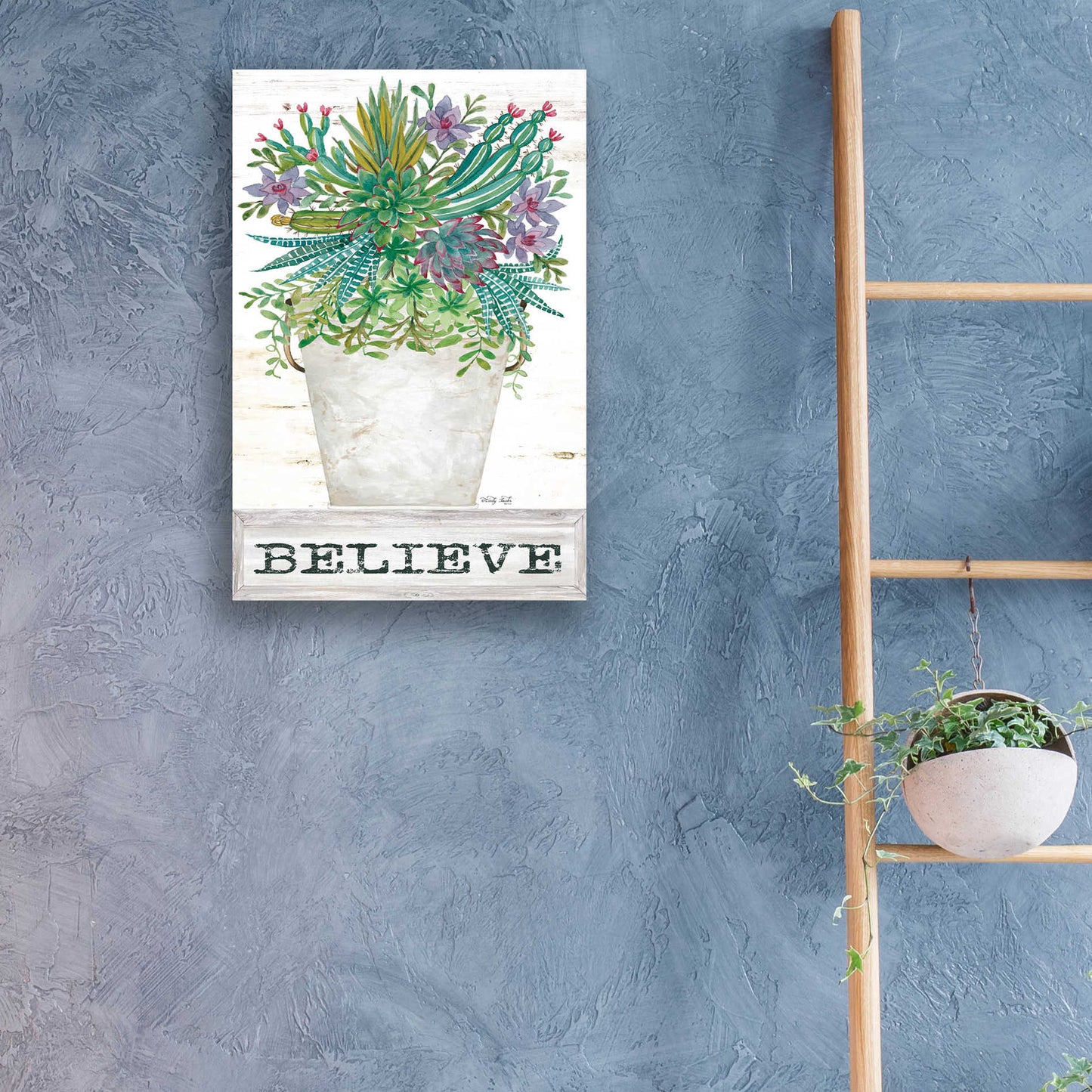 Epic Art 'Believe Succulents' by Cindy Jacobs, Acrylic Glass Wall Art,16x24