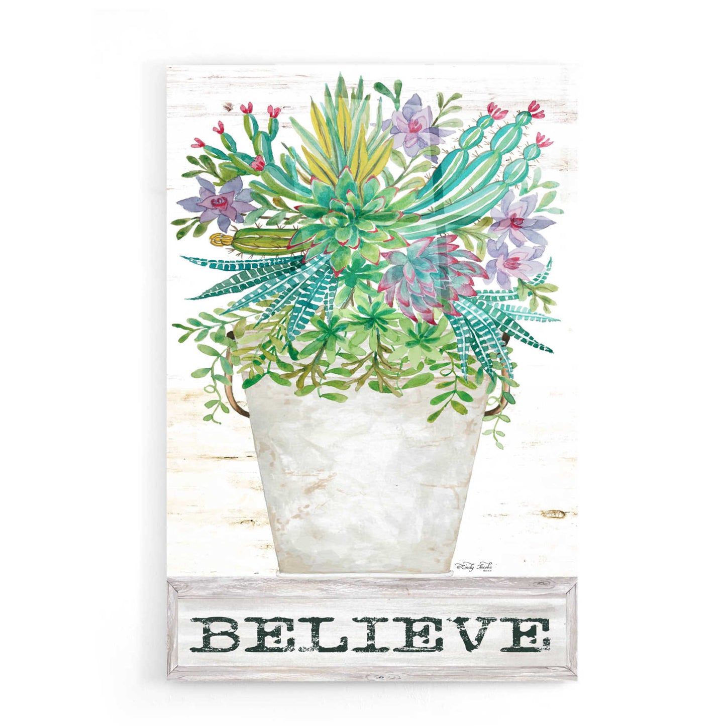 Epic Art 'Believe Succulents' by Cindy Jacobs, Acrylic Glass Wall Art,16x24