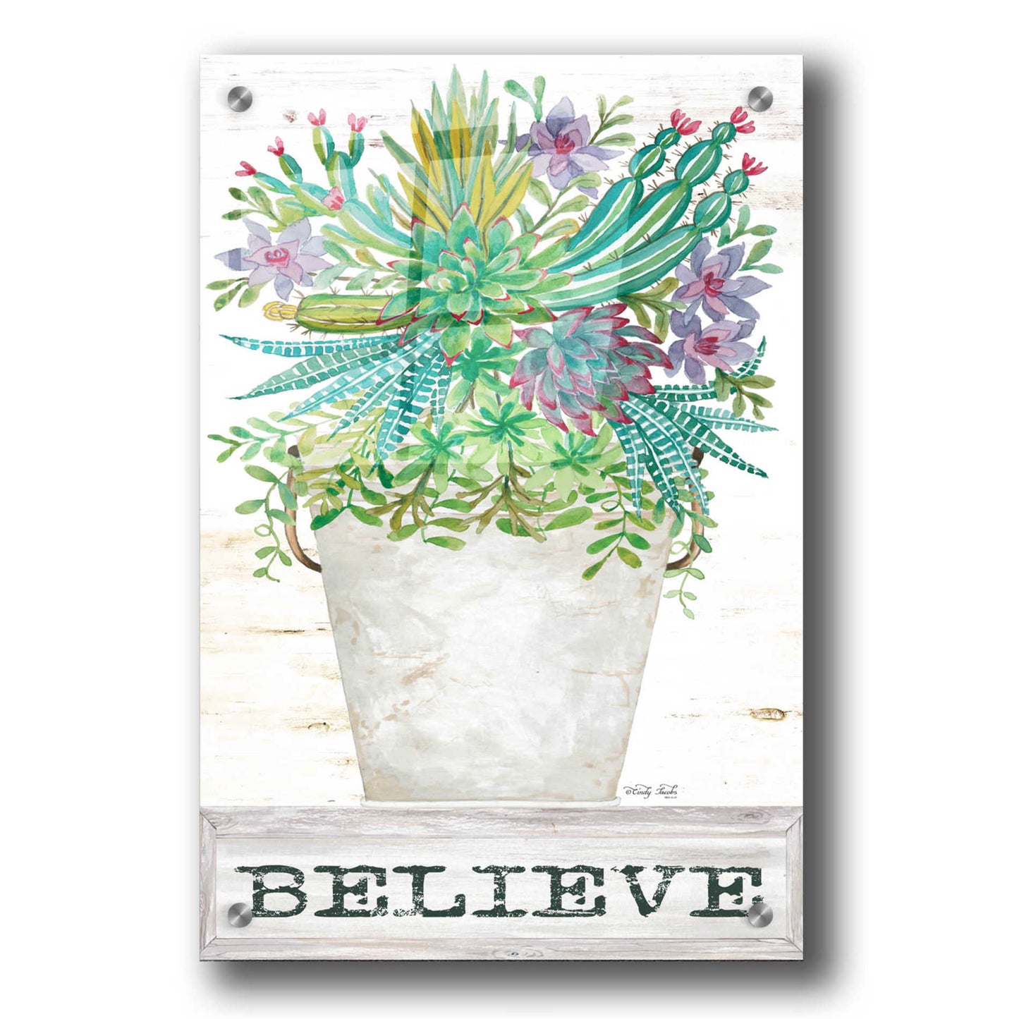 Epic Art 'Believe Succulents' by Cindy Jacobs, Acrylic Glass Wall Art,24x36