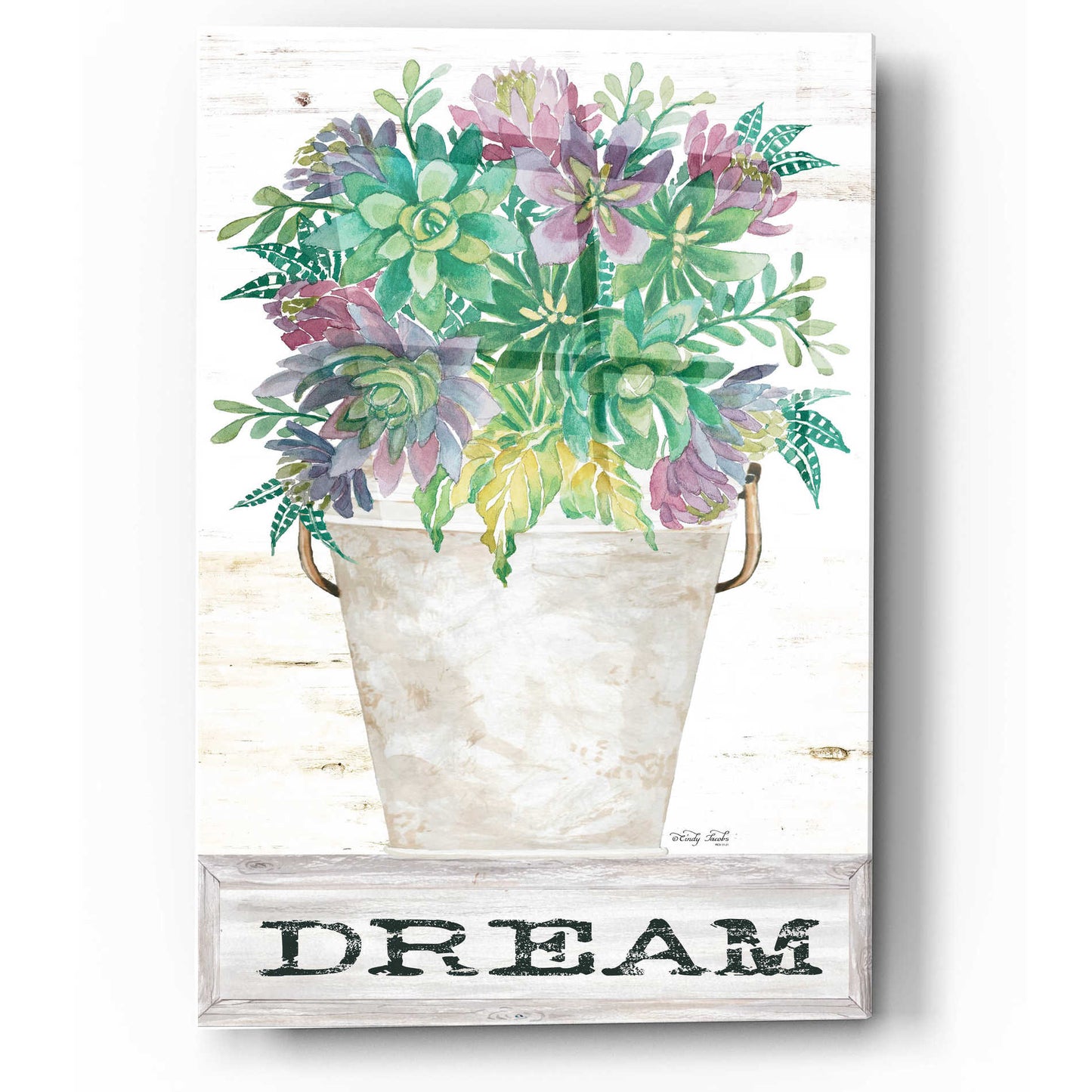 Epic Art 'Dream Succulents' by Cindy Jacobs, Acrylic Glass Wall Art,12x16