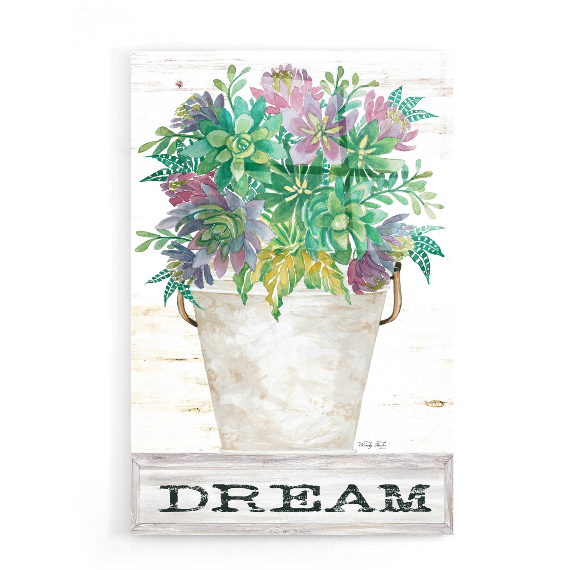 Epic Art 'Dream Succulents' by Cindy Jacobs, Acrylic Glass Wall Art,16x24