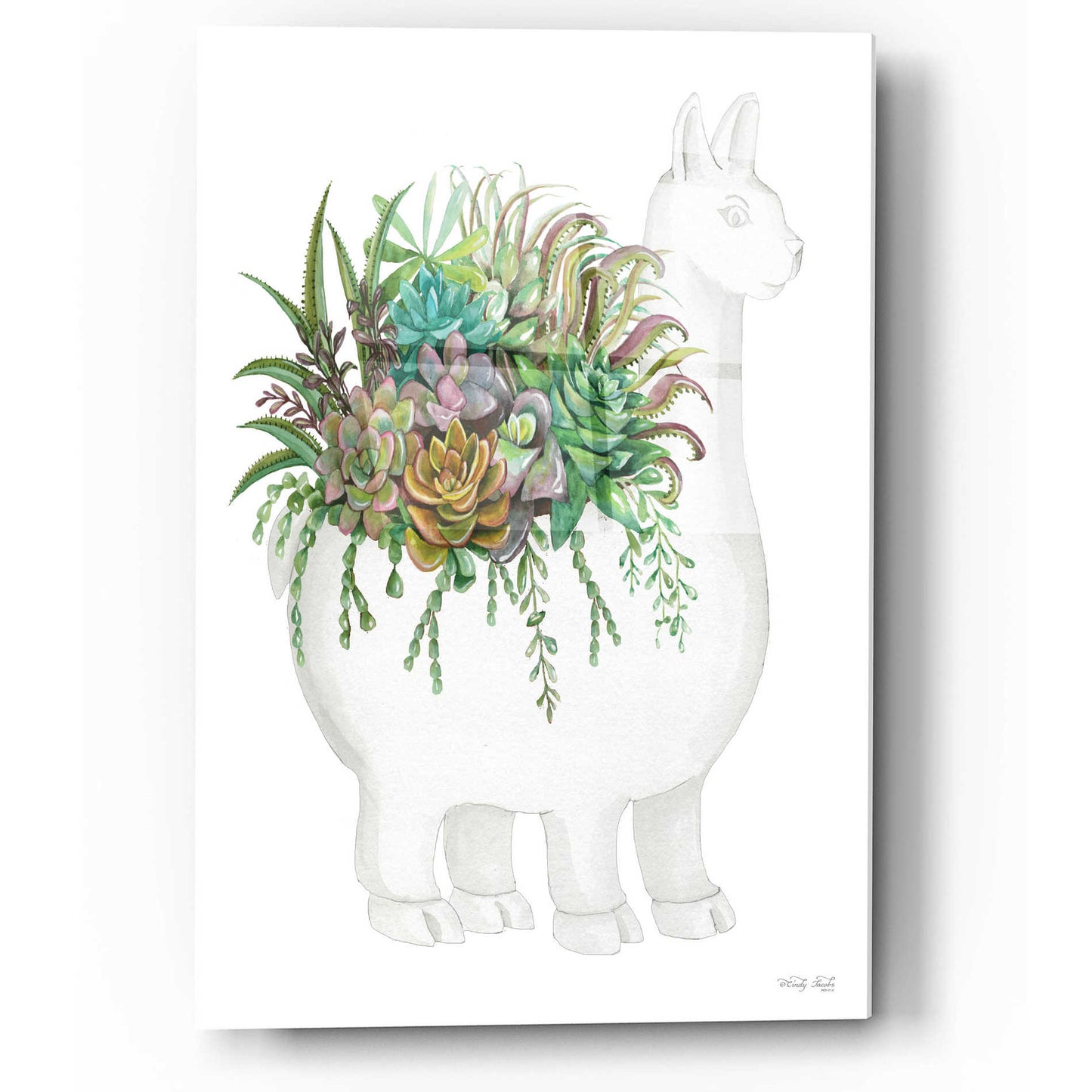 Epic Art 'Proud Llama Pot I' by Cindy Jacobs, Acrylic Glass Wall Art,12x16