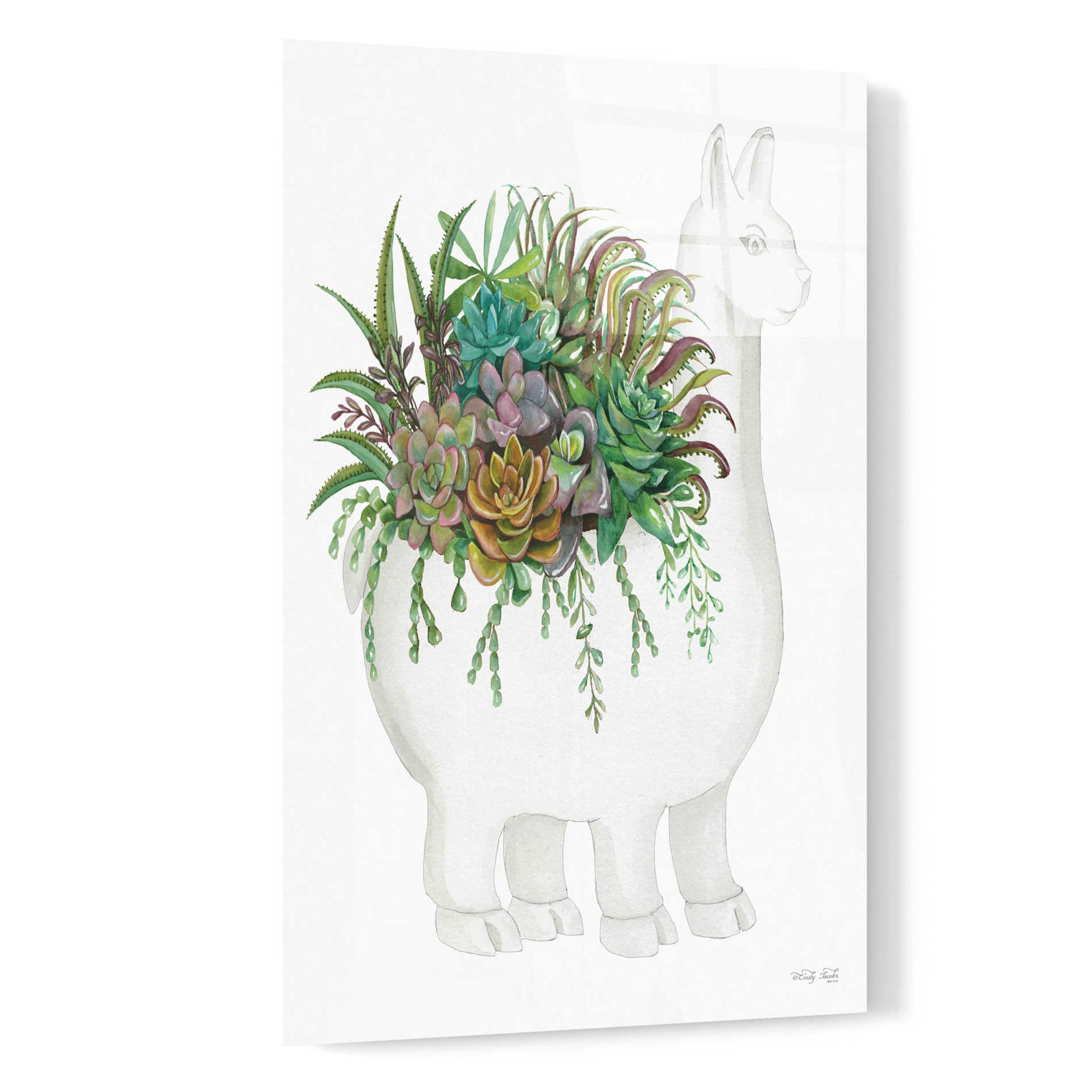 Epic Art 'Proud Llama Pot I' by Cindy Jacobs, Acrylic Glass Wall Art,16x24