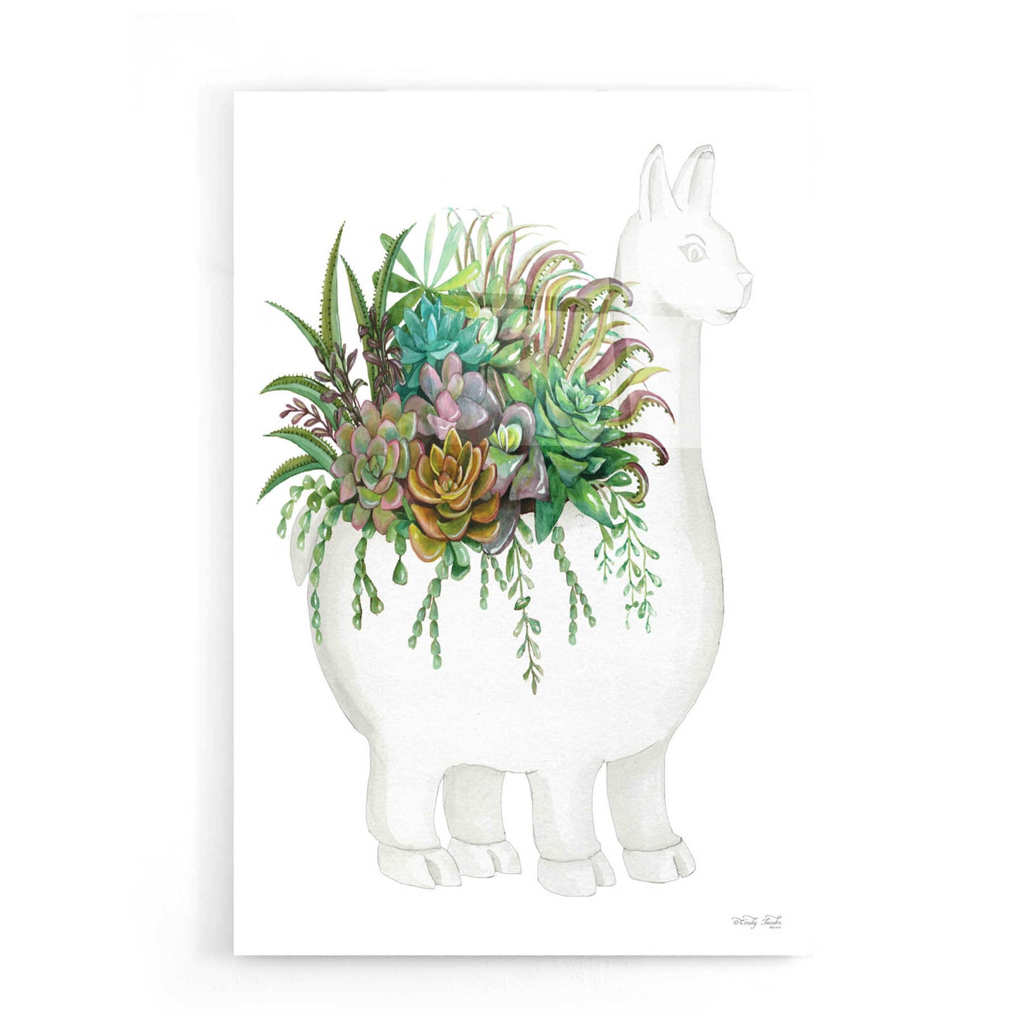 Epic Art 'Proud Llama Pot I' by Cindy Jacobs, Acrylic Glass Wall Art,16x24