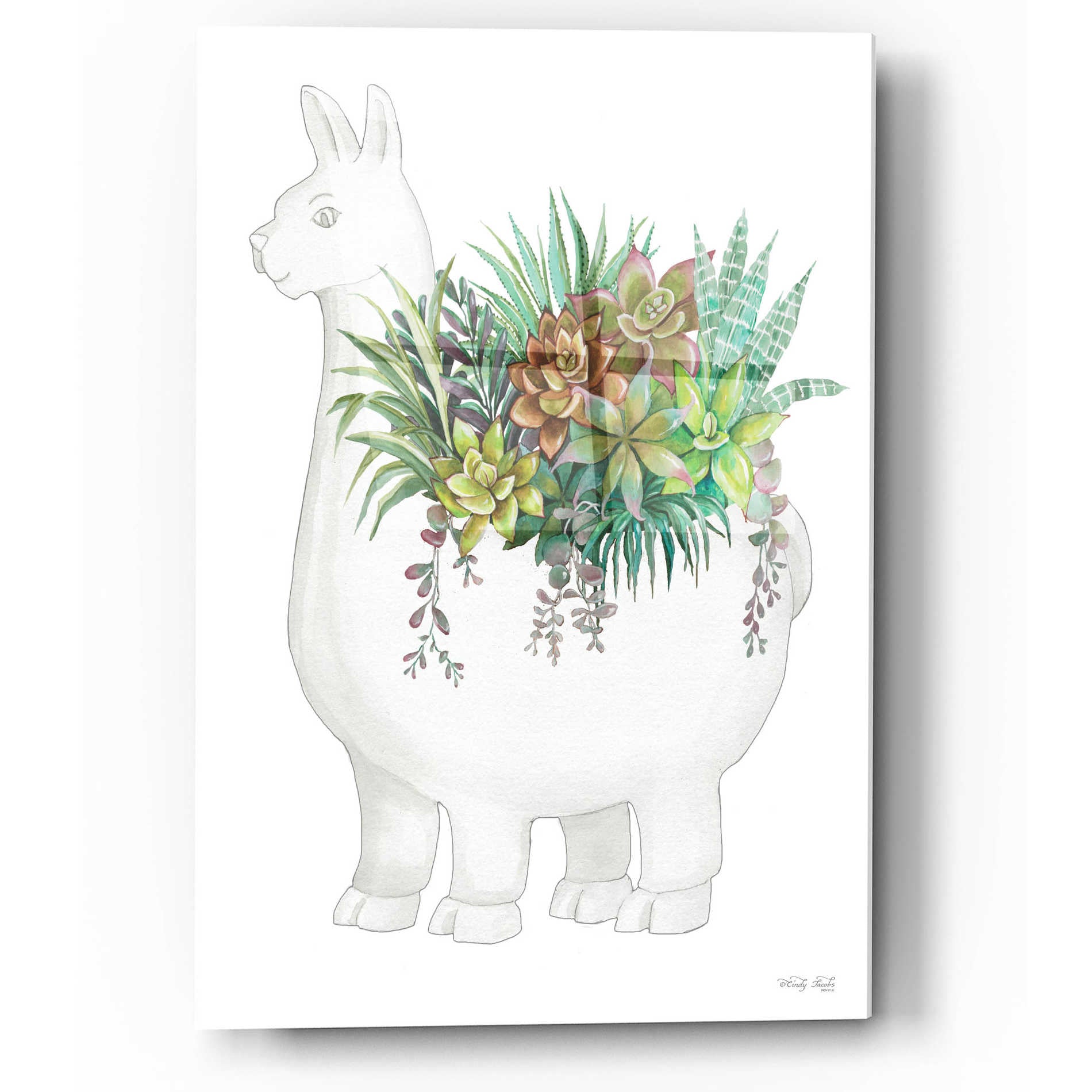 Epic Art 'Proud Llama Pot II' by Cindy Jacobs, Acrylic Glass Wall Art,12x16