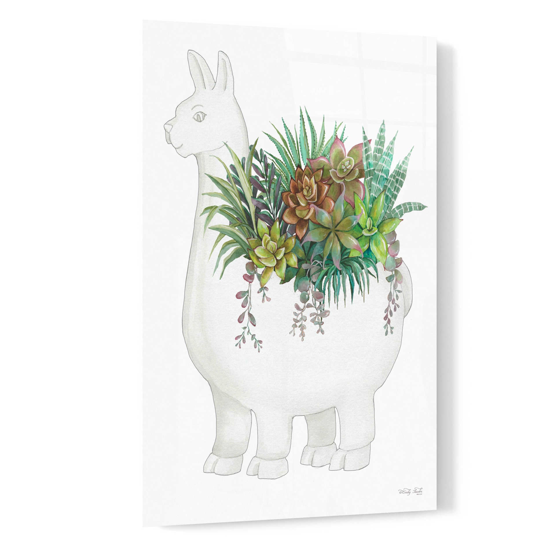 Epic Art 'Proud Llama Pot II' by Cindy Jacobs, Acrylic Glass Wall Art,16x24