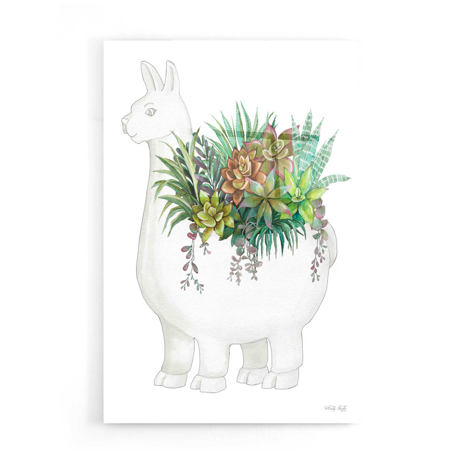 Epic Art 'Proud Llama Pot II' by Cindy Jacobs, Acrylic Glass Wall Art,16x24
