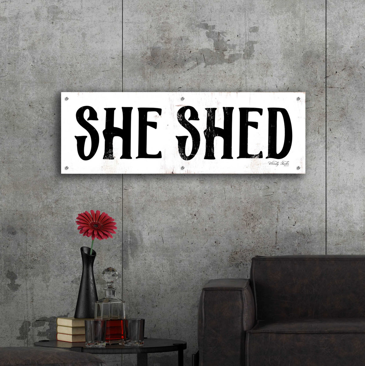 Epic Art 'She Shed' by Cindy Jacobs, Acrylic Glass Wall Art,48x16