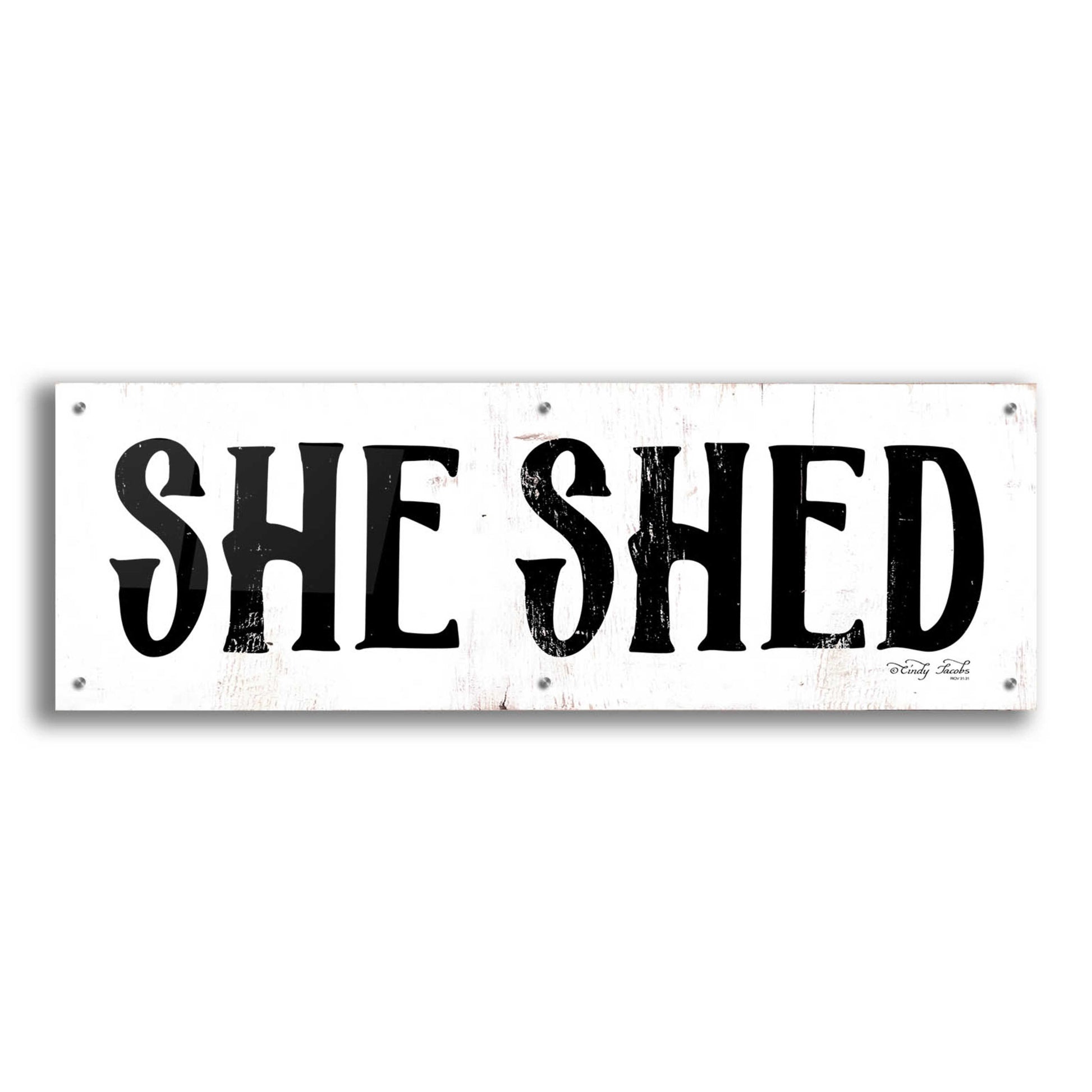 Epic Art 'She Shed' by Cindy Jacobs, Acrylic Glass Wall Art,48x16