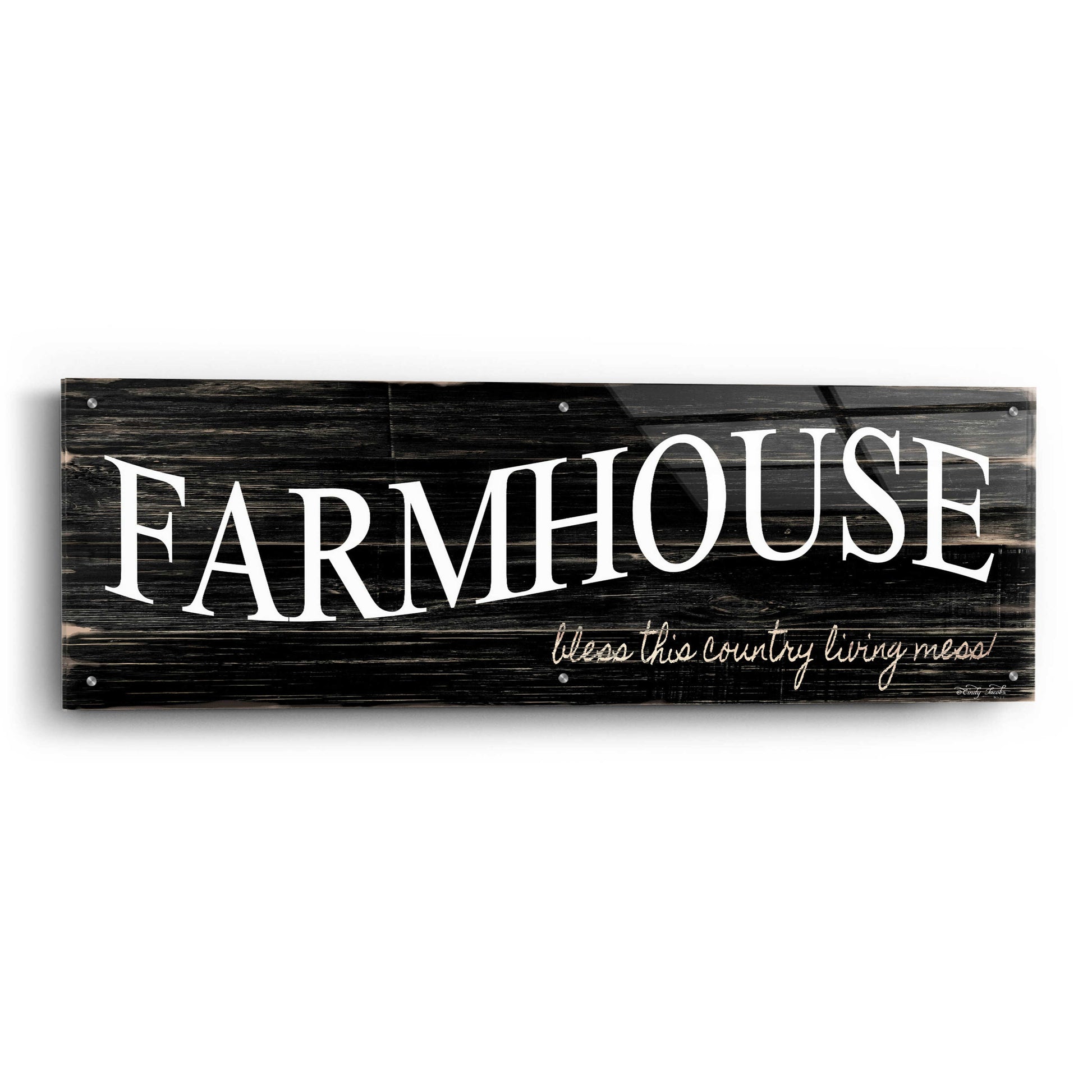 Epic Art 'Farmhouse' by Cindy Jacobs, Acrylic Glass Wall Art,48x16