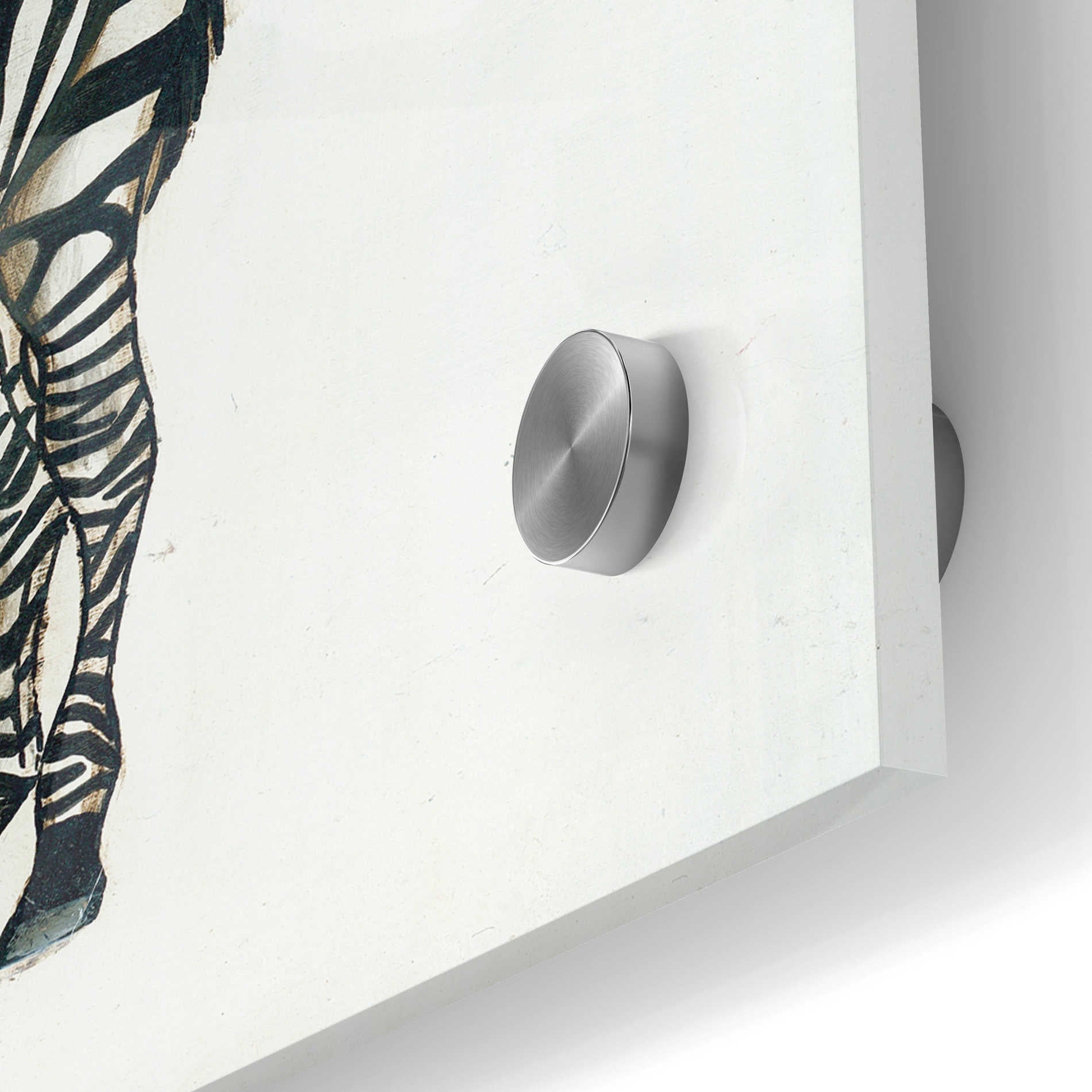Epic Art 'Nursery Zebra' by Britt Hallowell, Acrylic Glass Wall Art,24x24