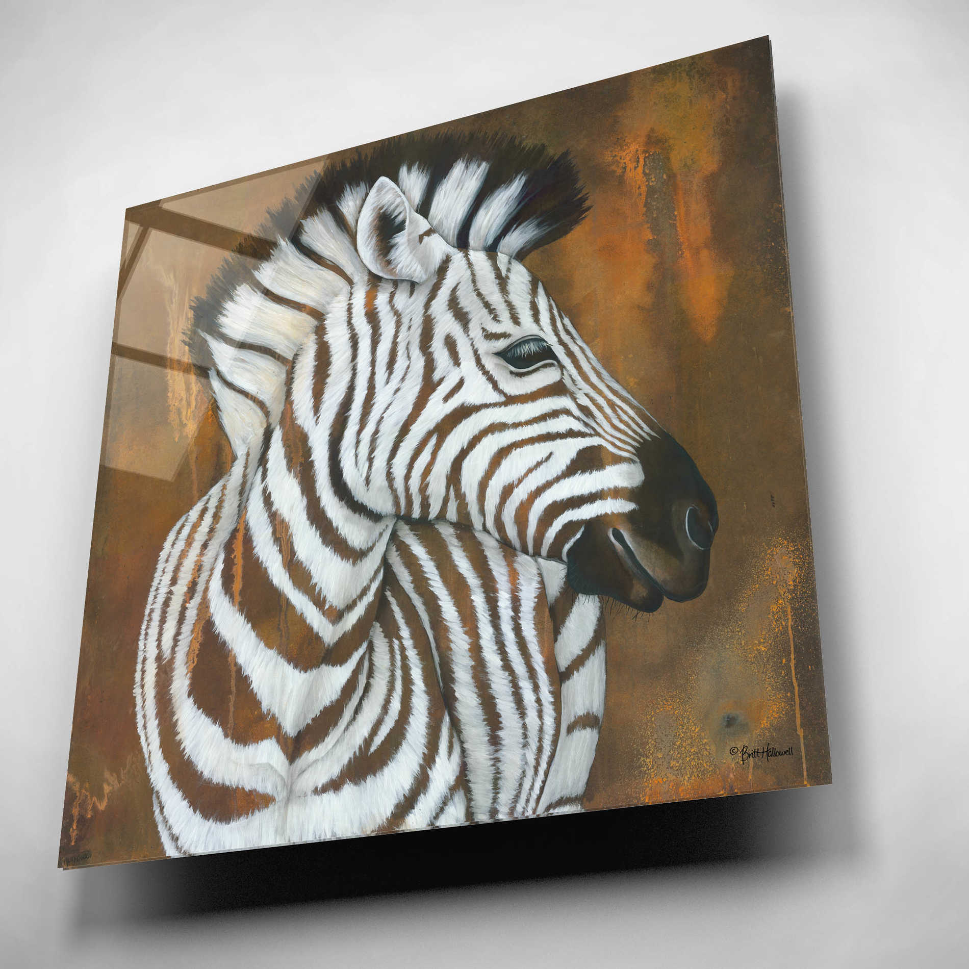Epic Art 'Serengeti Rock Star' by Britt Hallowell, Acrylic Glass Wall Art,12x12