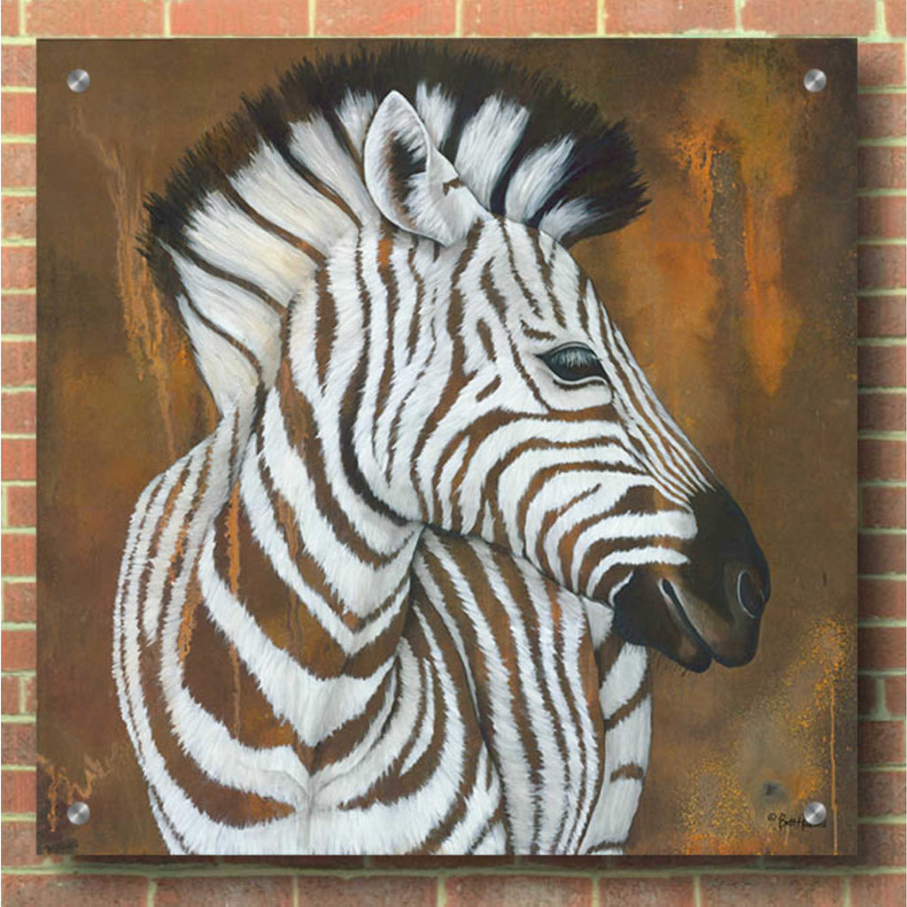 Epic Art 'Serengeti Rock Star' by Britt Hallowell, Acrylic Glass Wall Art,36x36