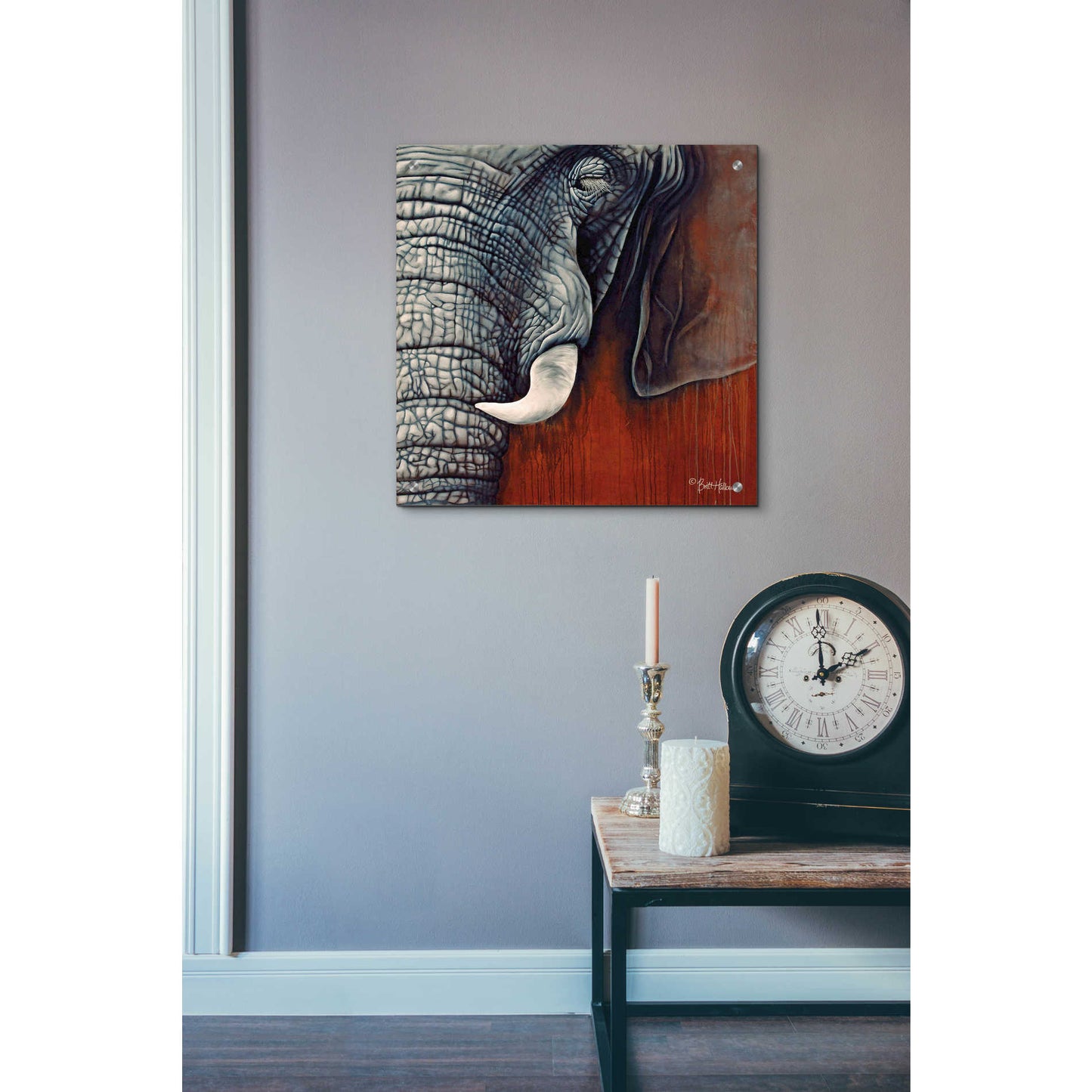 Epic Art 'Revering Tembo' by Britt Hallowell, Acrylic Glass Wall Art,24x24