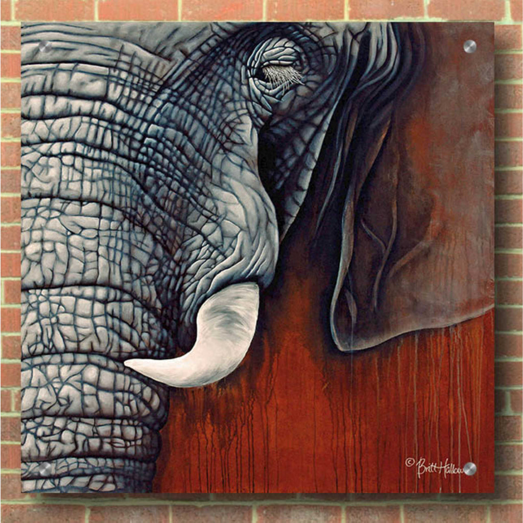 Epic Art 'Revering Tembo' by Britt Hallowell, Acrylic Glass Wall Art,36x36