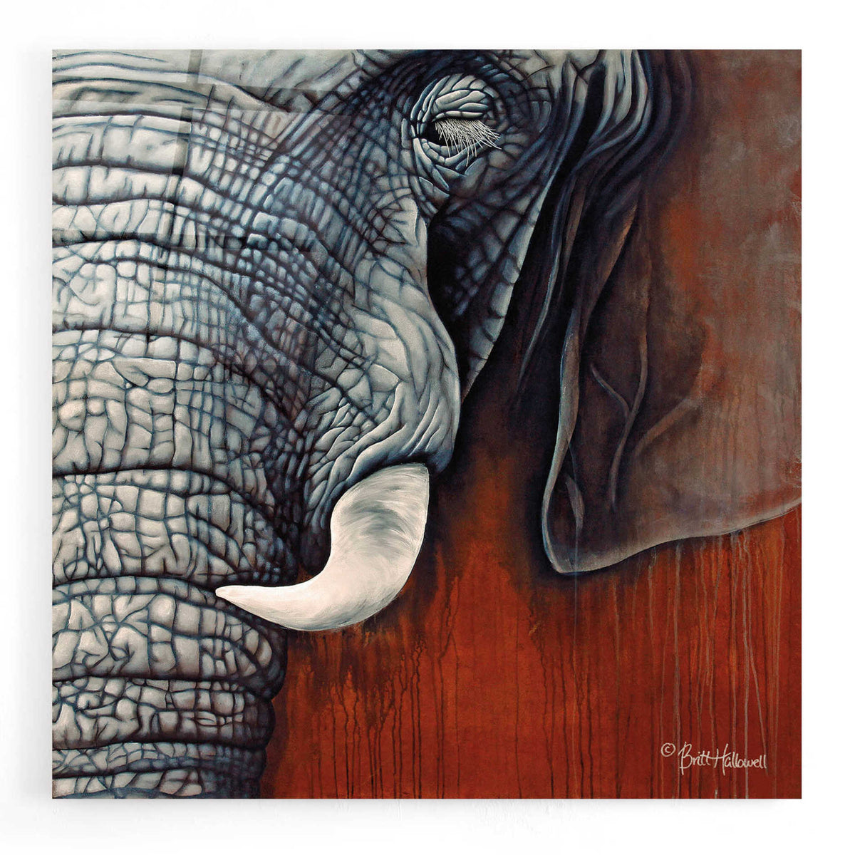Epic Art 'Revering Tembo' by Britt Hallowell, Acrylic Glass Wall Art