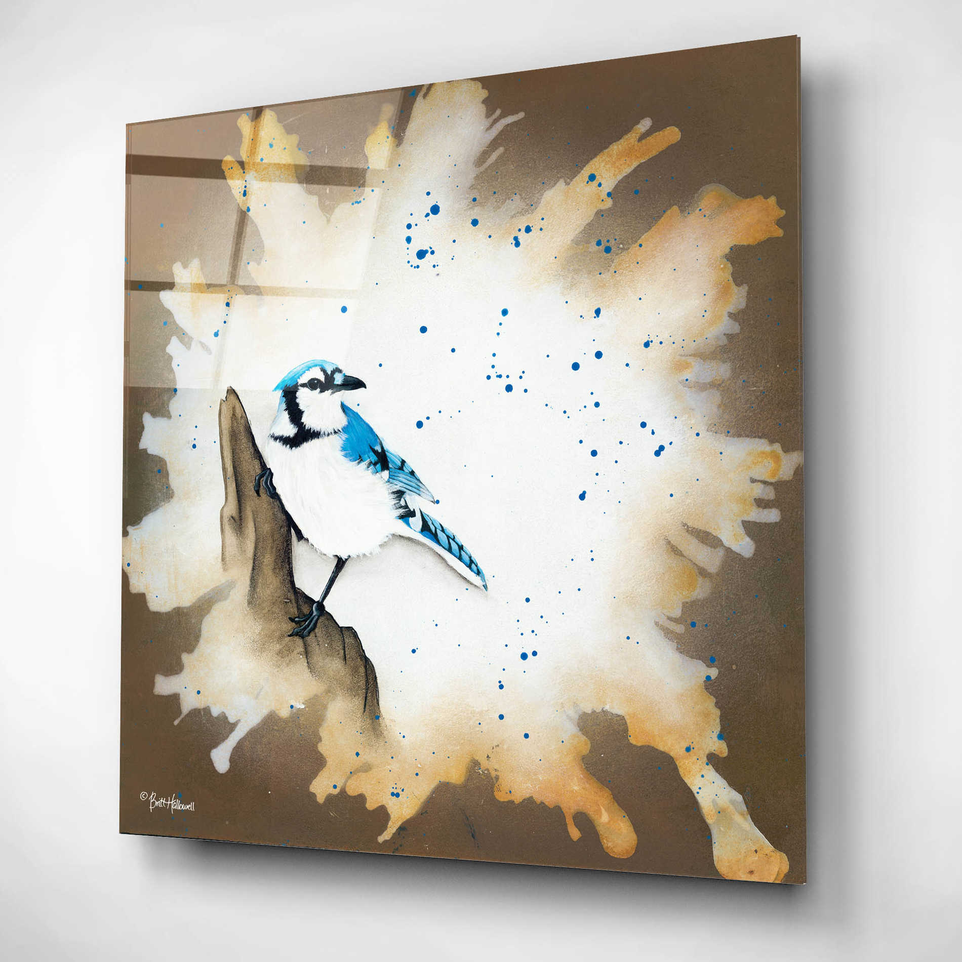 Epic Art 'Weathered Friends - Blue Jay' by Britt Hallowell, Acrylic Glass Wall Art,12x12