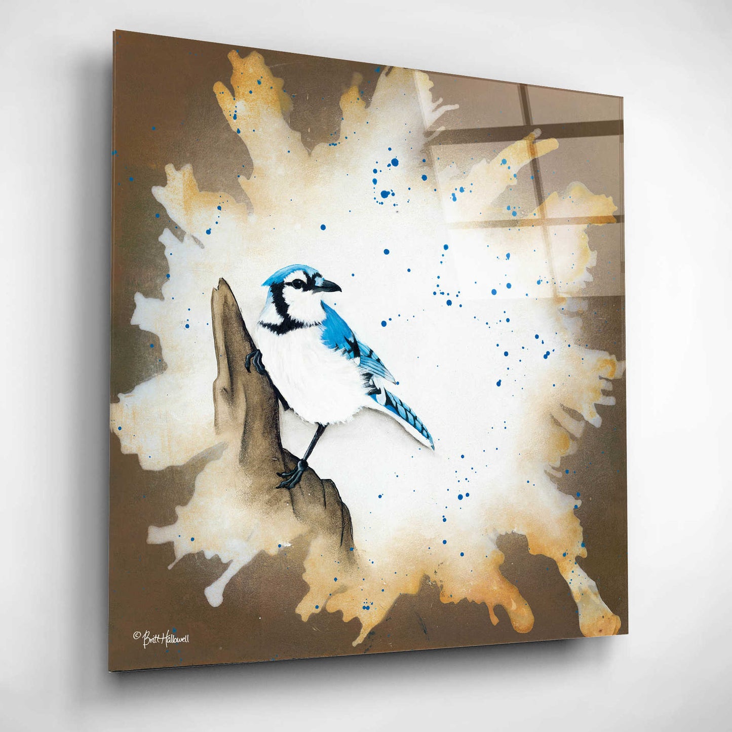 Epic Art 'Weathered Friends - Blue Jay' by Britt Hallowell, Acrylic Glass Wall Art,12x12