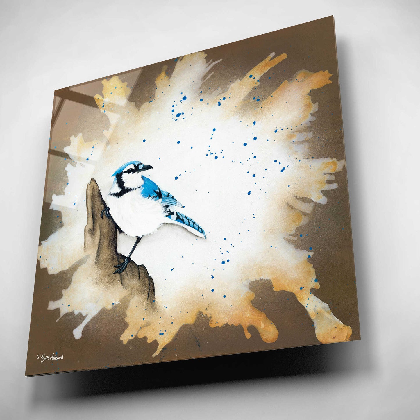 Epic Art 'Weathered Friends - Blue Jay' by Britt Hallowell, Acrylic Glass Wall Art,12x12