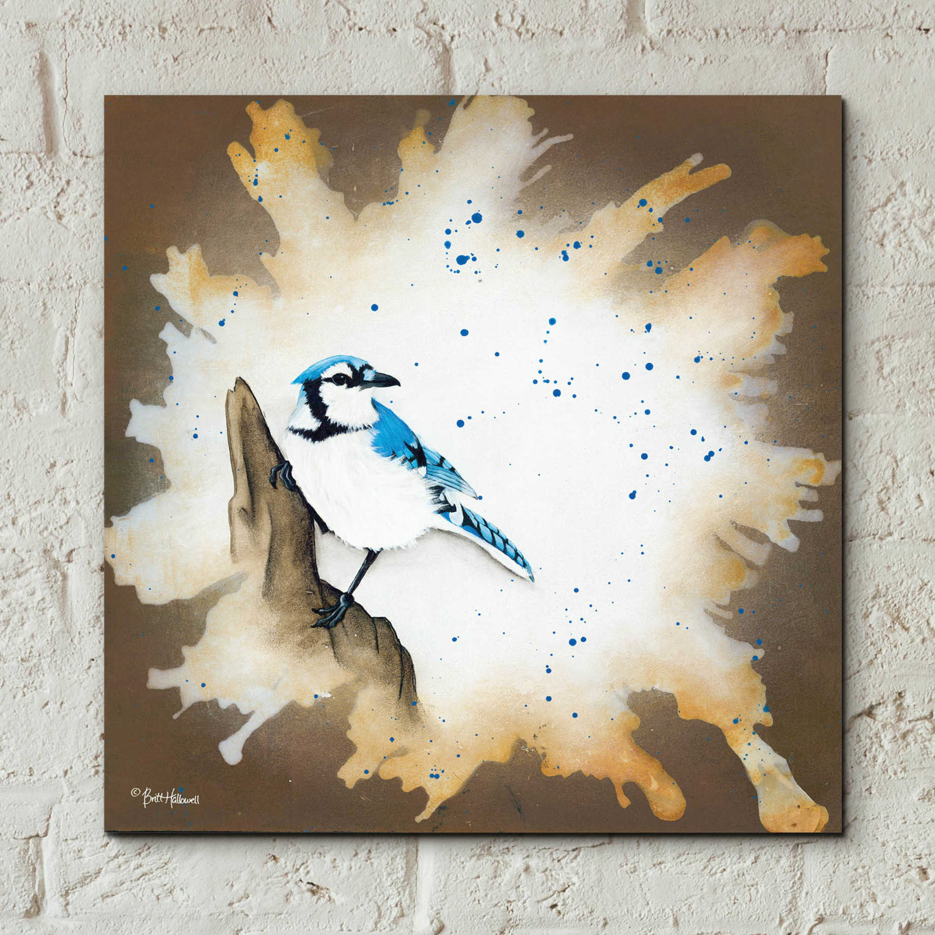 Epic Art 'Weathered Friends - Blue Jay' by Britt Hallowell, Acrylic Glass Wall Art,12x12