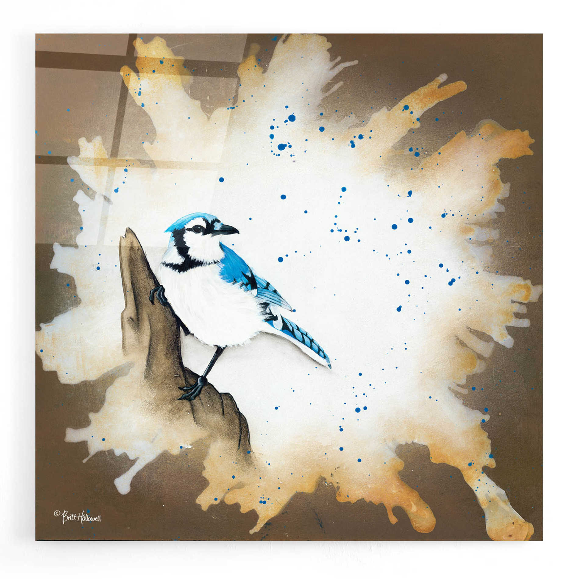 Epic Art 'Weathered Friends - Blue Jay' by Britt Hallowell, Acrylic Glass Wall Art,12x12