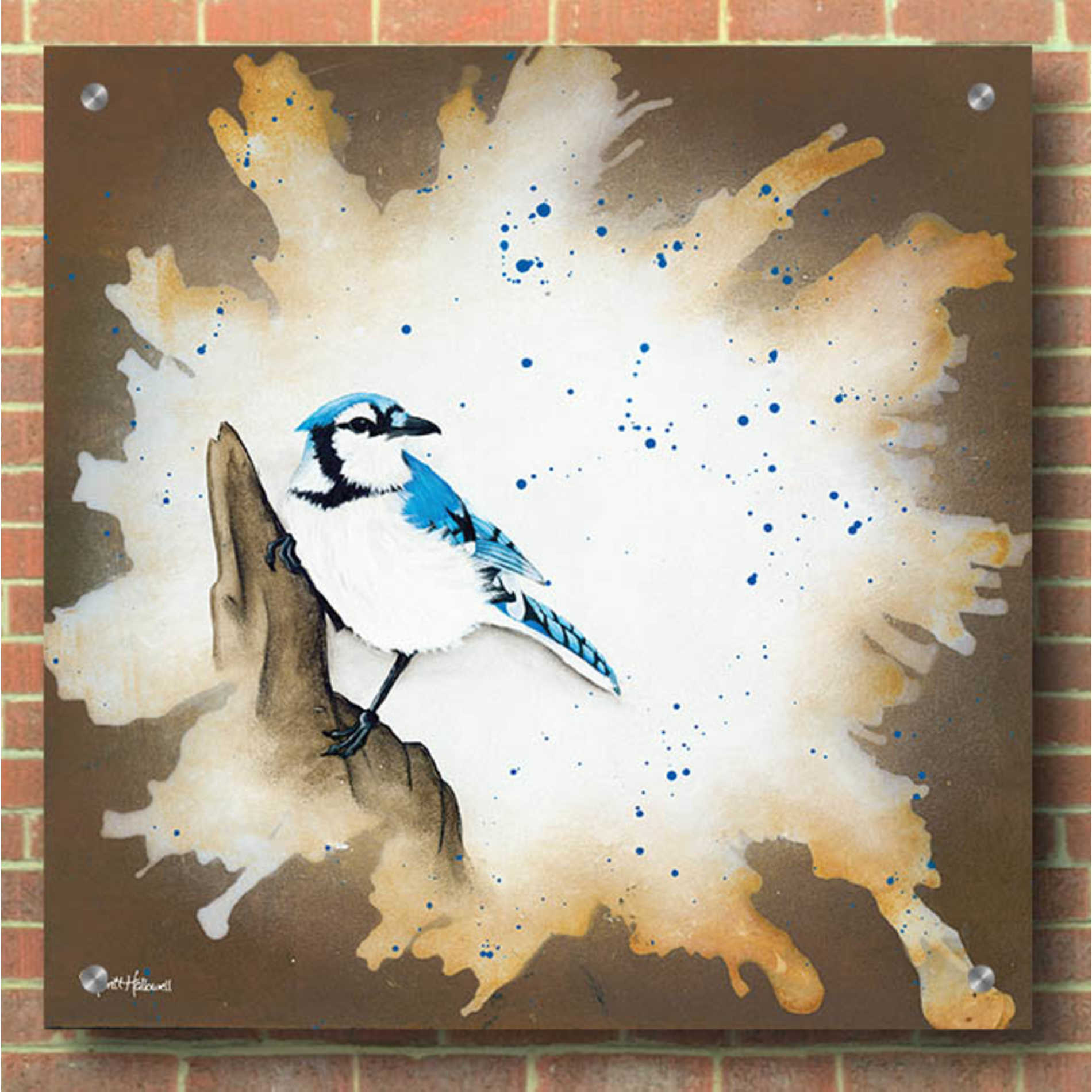 Epic Art 'Weathered Friends - Blue Jay' by Britt Hallowell, Acrylic Glass Wall Art,36x36