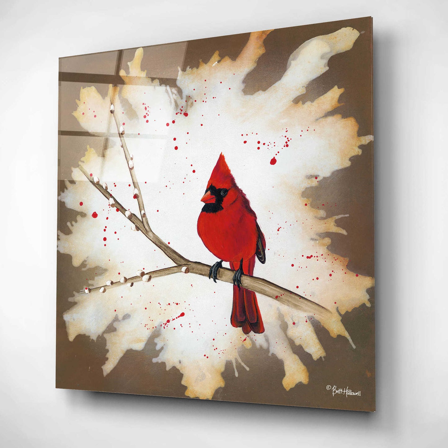 Epic Art 'Weathered Friends - Cardinal' by Britt Hallowell, Acrylic Glass Wall Art,12x12