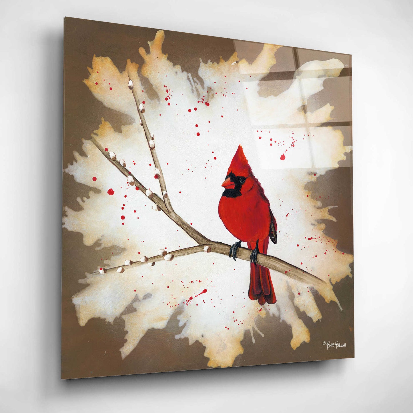 Epic Art 'Weathered Friends - Cardinal' by Britt Hallowell, Acrylic Glass Wall Art,12x12