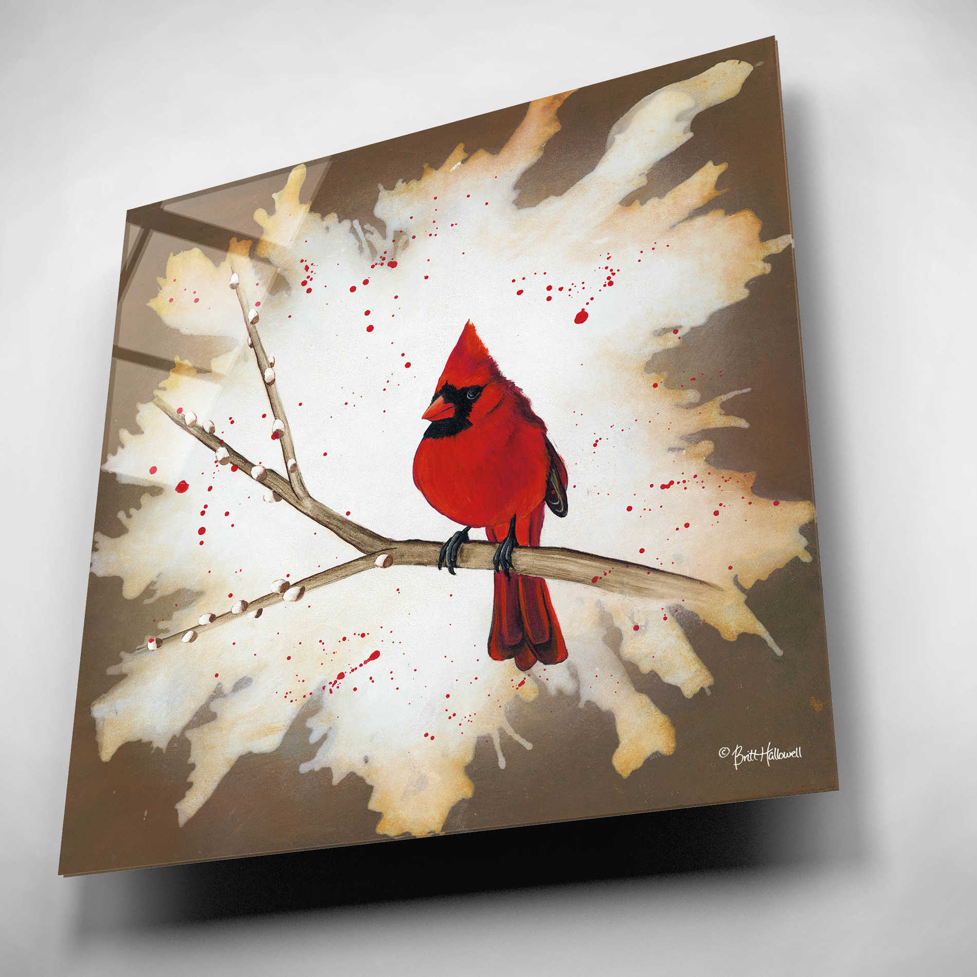 Epic Art 'Weathered Friends - Cardinal' by Britt Hallowell, Acrylic Glass Wall Art,12x12