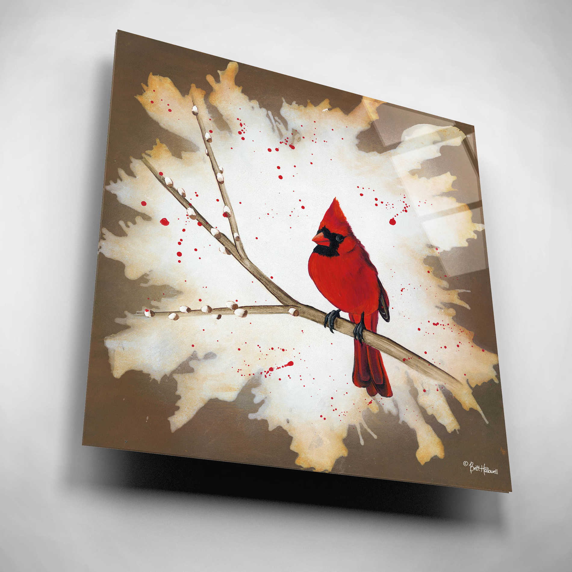 Epic Art 'Weathered Friends - Cardinal' by Britt Hallowell, Acrylic Glass Wall Art,12x12