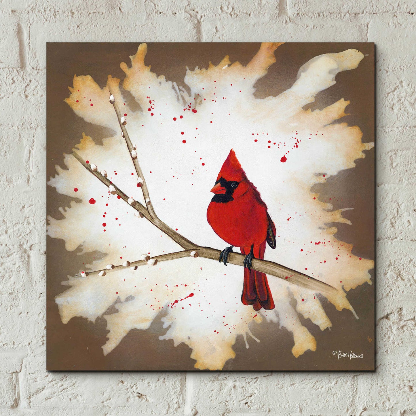 Epic Art 'Weathered Friends - Cardinal' by Britt Hallowell, Acrylic Glass Wall Art,12x12