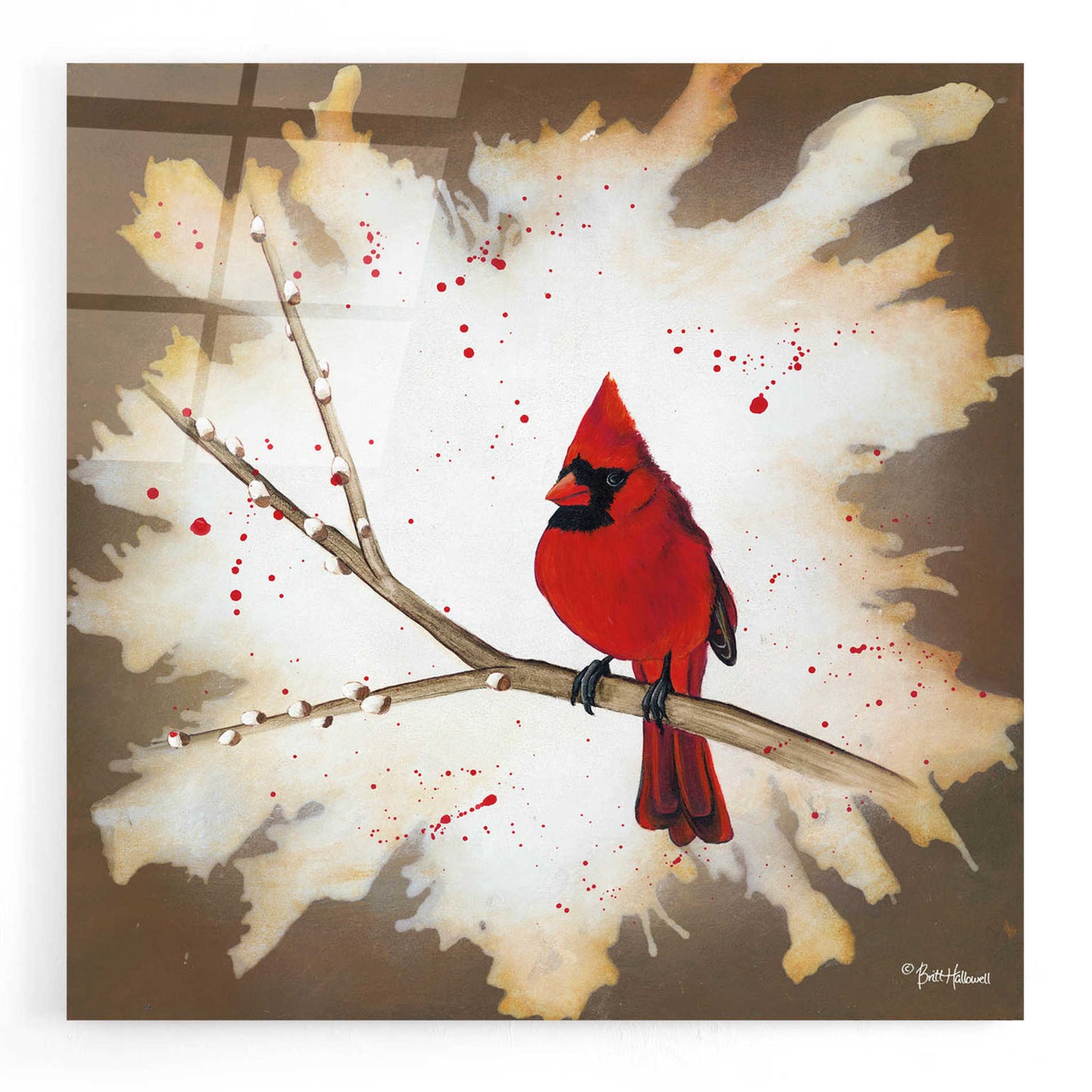 Epic Art 'Weathered Friends - Cardinal' by Britt Hallowell, Acrylic Glass Wall Art,12x12