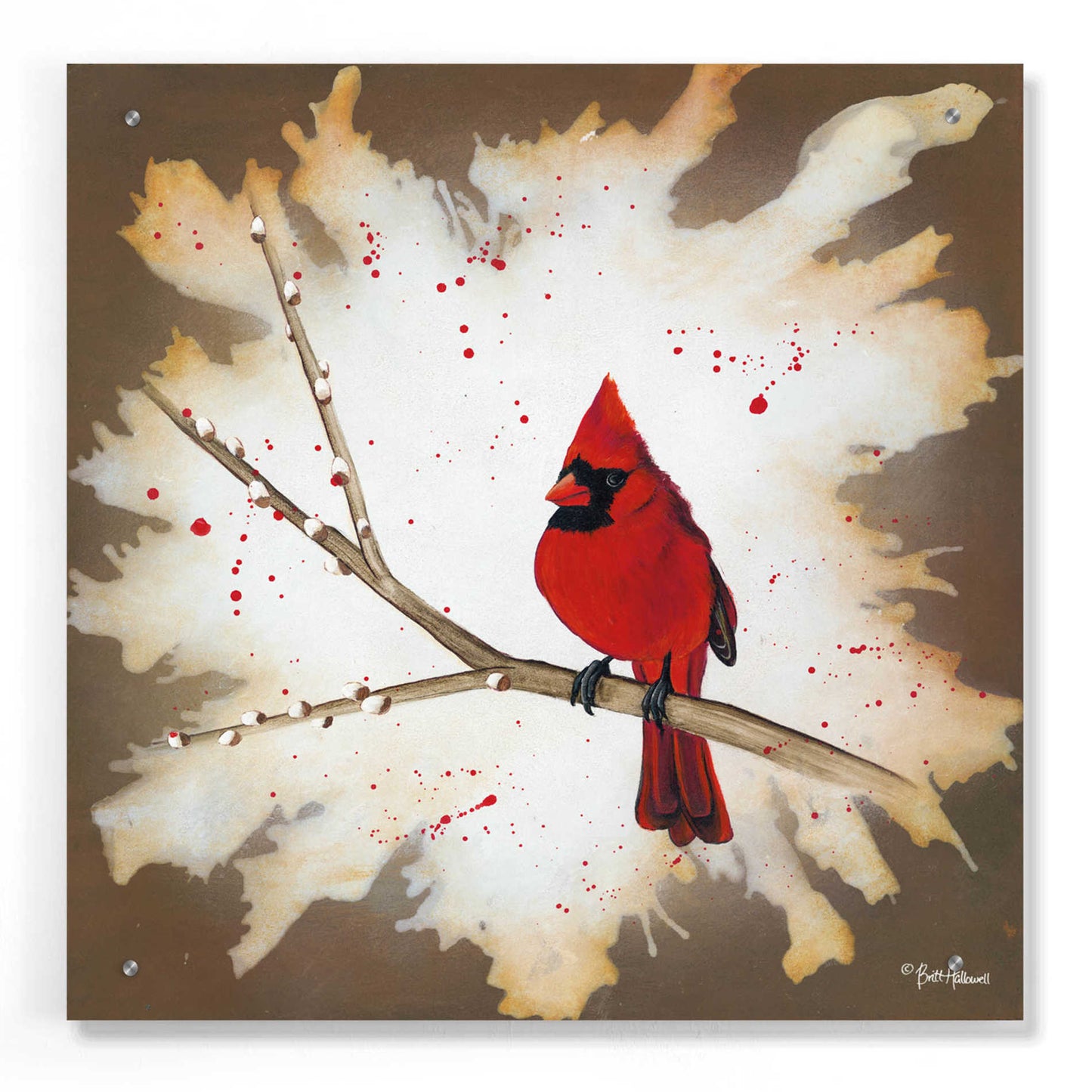 Epic Art 'Weathered Friends - Cardinal' by Britt Hallowell, Acrylic Glass Wall Art,24x24