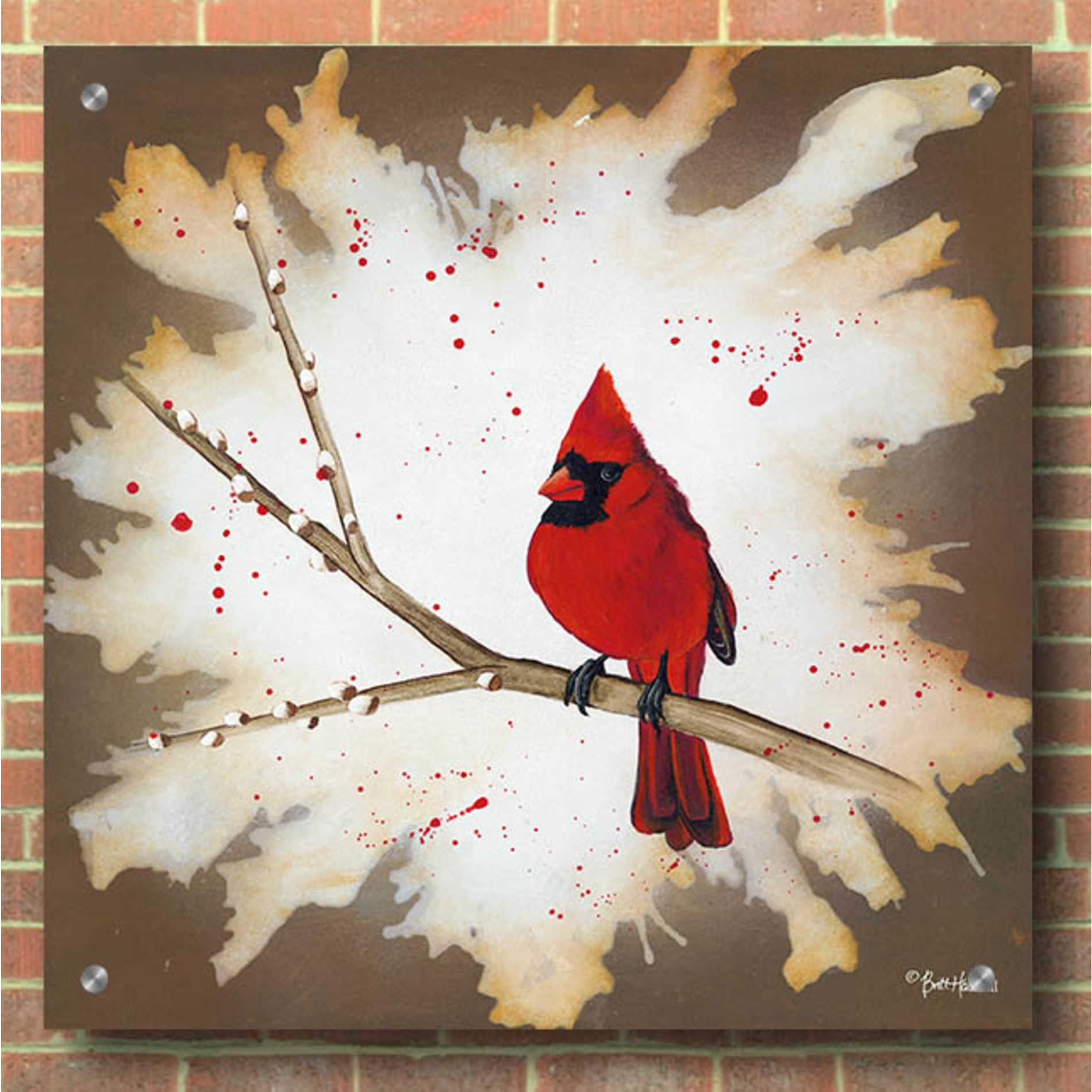 Epic Art 'Weathered Friends - Cardinal' by Britt Hallowell, Acrylic Glass Wall Art,36x36