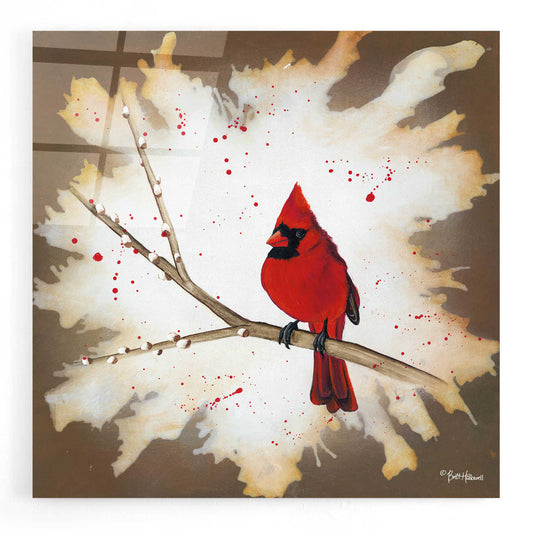 Epic Art 'Weathered Friends - Cardinal' by Britt Hallowell, Acrylic Glass Wall Art