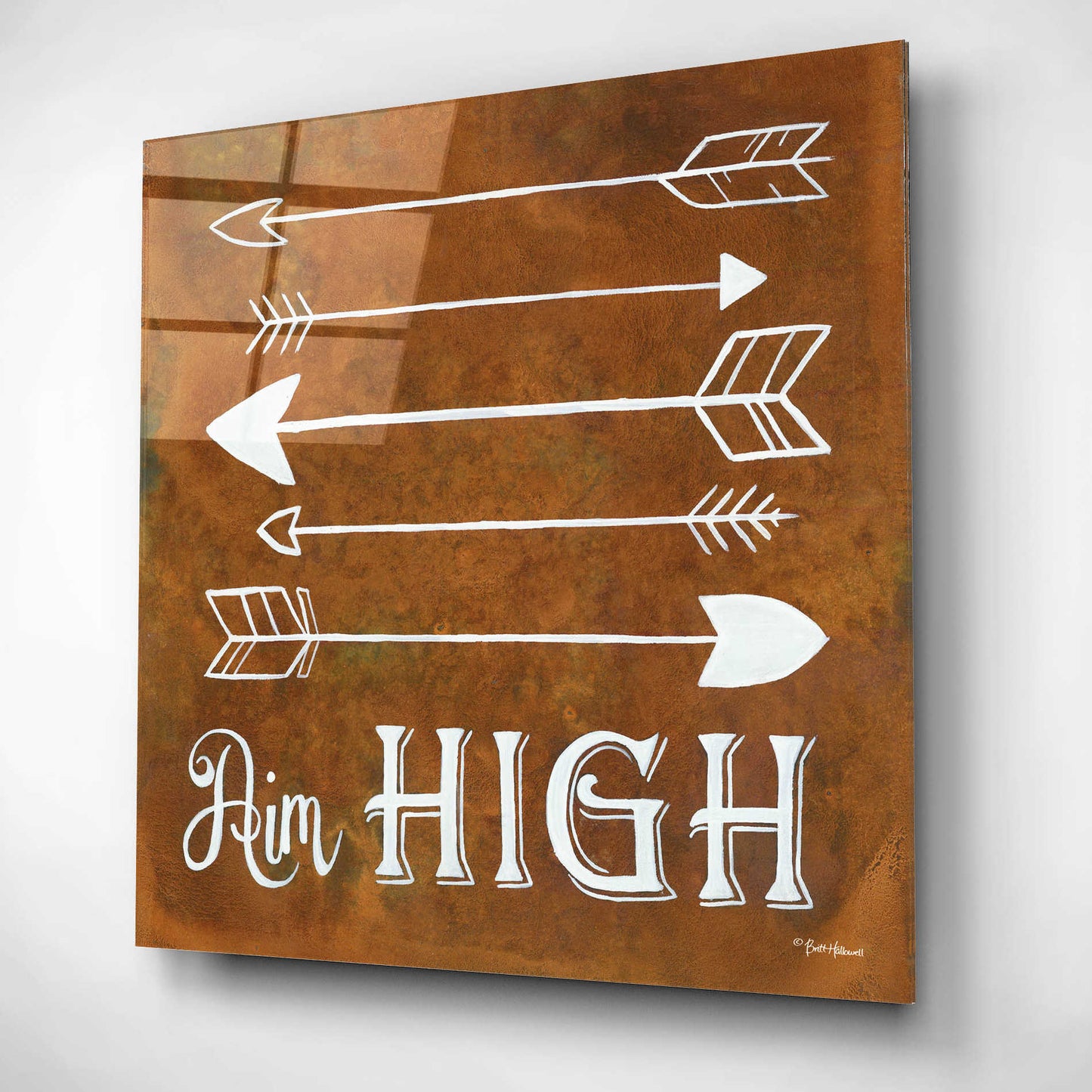 Epic Art 'Aim High' by Britt Hallowell, Acrylic Glass Wall Art,12x12