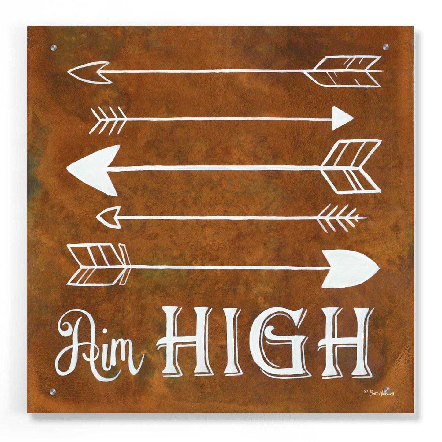 Epic Art 'Aim High' by Britt Hallowell, Acrylic Glass Wall Art,24x24