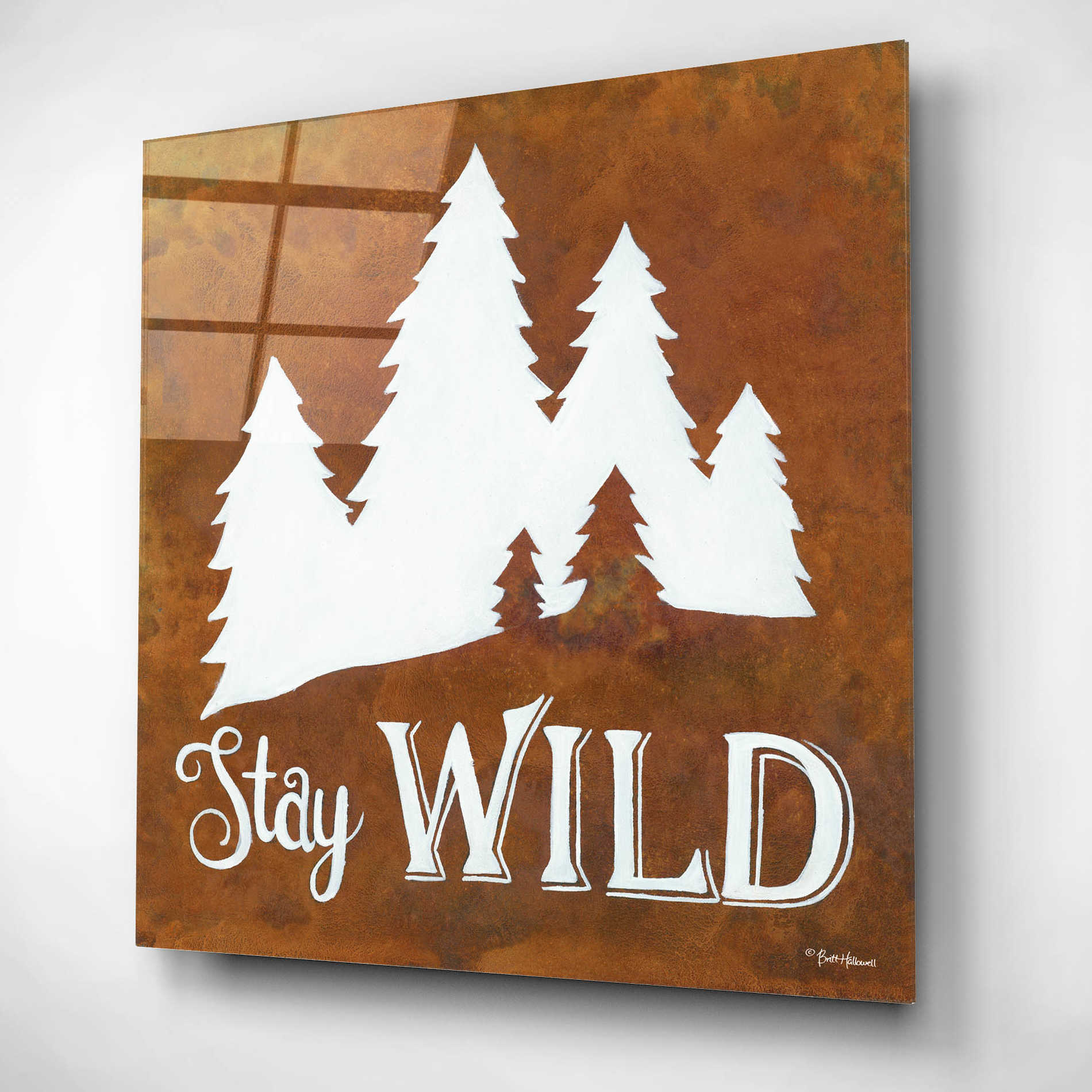 Epic Art 'Stay Wild' by Britt Hallowell, Acrylic Glass Wall Art,12x12