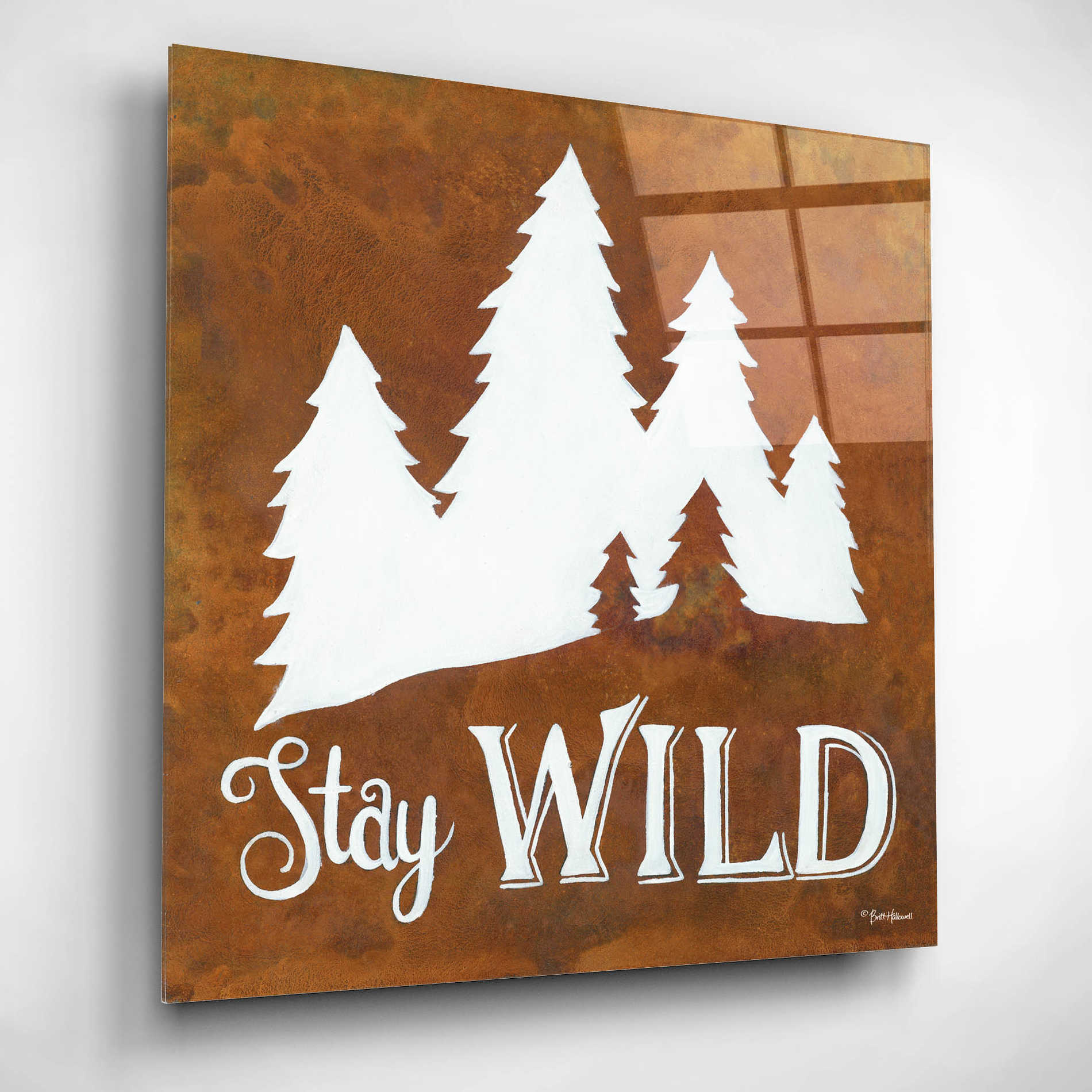 Epic Art 'Stay Wild' by Britt Hallowell, Acrylic Glass Wall Art,12x12