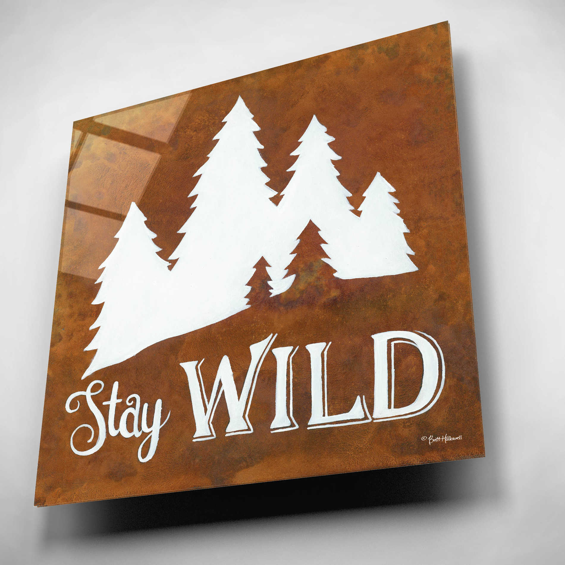 Epic Art 'Stay Wild' by Britt Hallowell, Acrylic Glass Wall Art,12x12