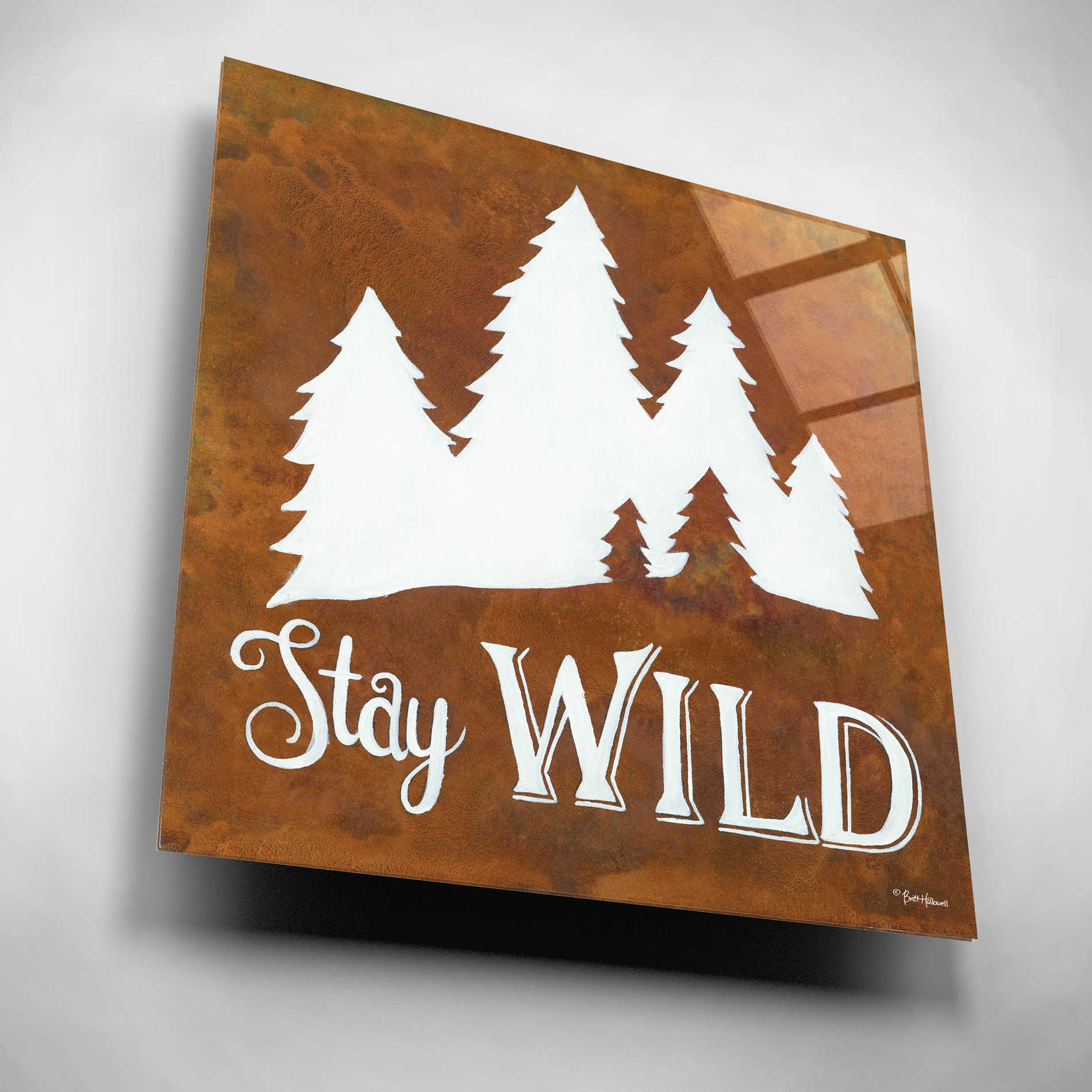 Epic Art 'Stay Wild' by Britt Hallowell, Acrylic Glass Wall Art,12x12