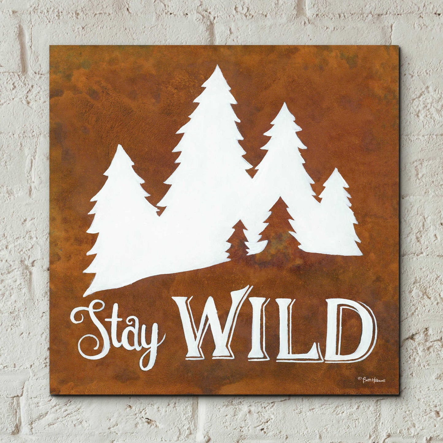 Epic Art 'Stay Wild' by Britt Hallowell, Acrylic Glass Wall Art,12x12