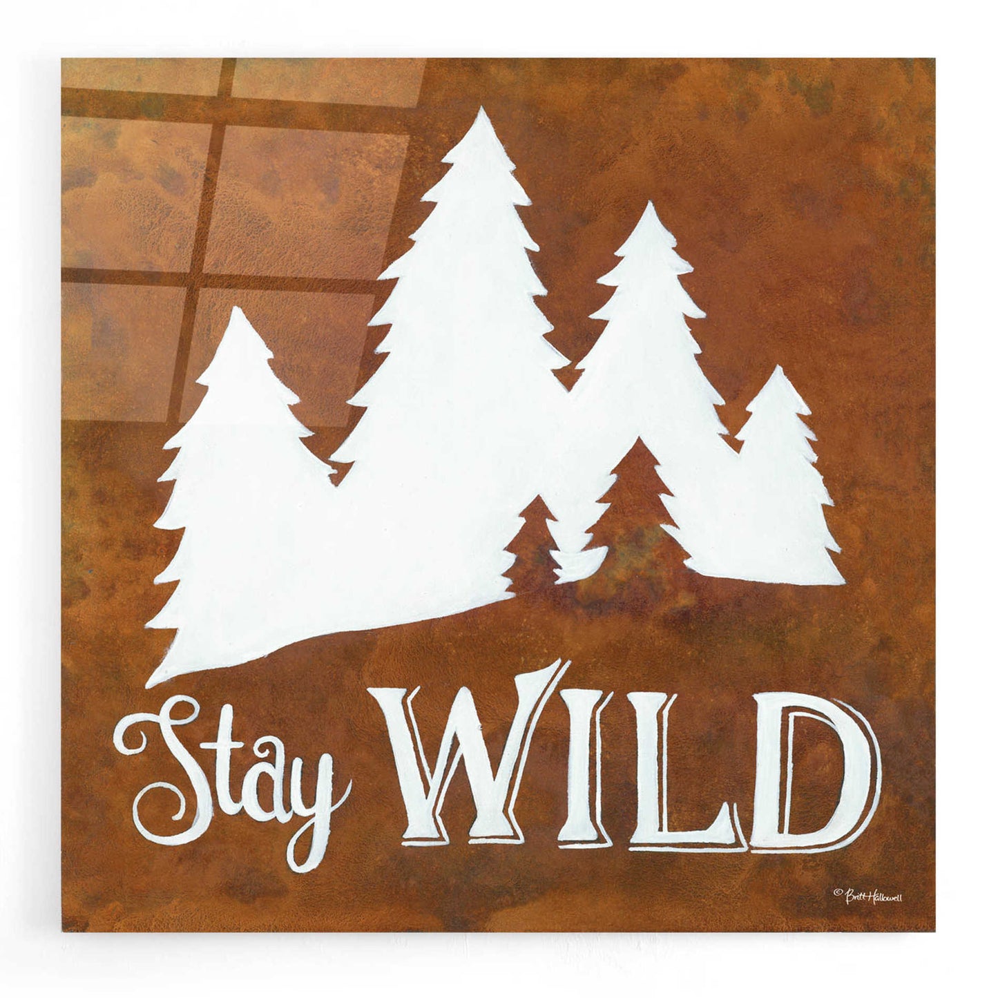 Epic Art 'Stay Wild' by Britt Hallowell, Acrylic Glass Wall Art,12x12