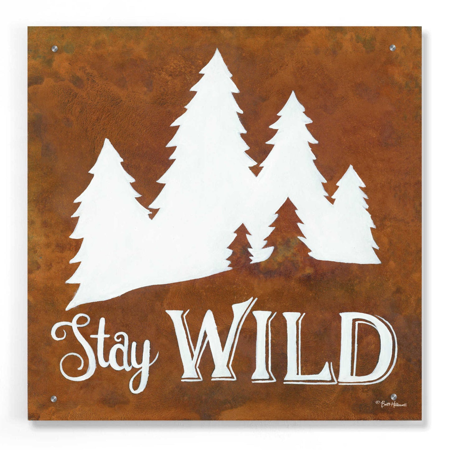 Epic Art 'Stay Wild' by Britt Hallowell, Acrylic Glass Wall Art,24x24